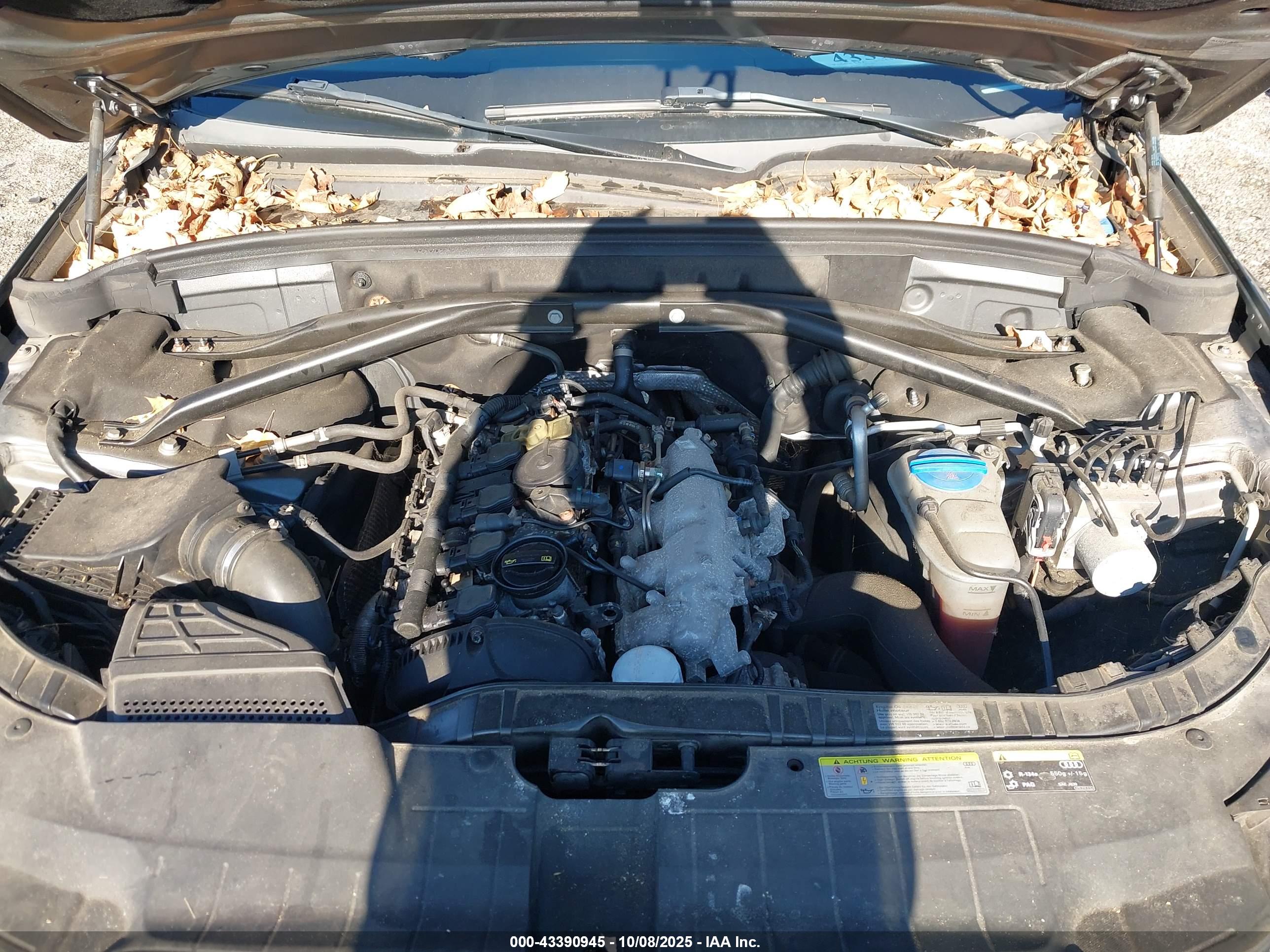 AUDI Q5 image 10