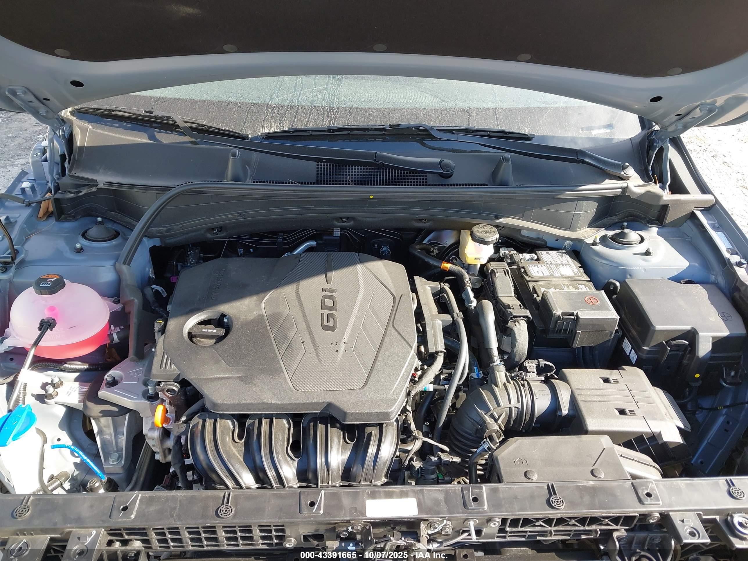 KIA SPORTAGE image 10