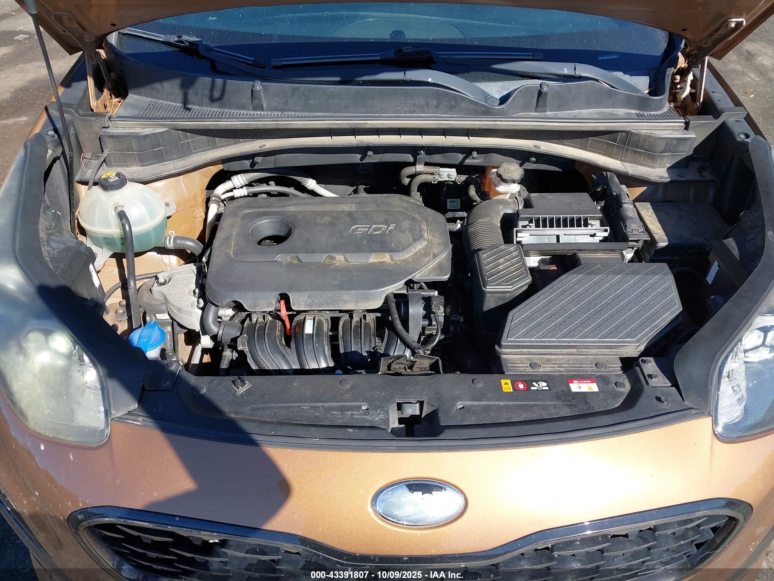 KIA SPORTAGE image 10
