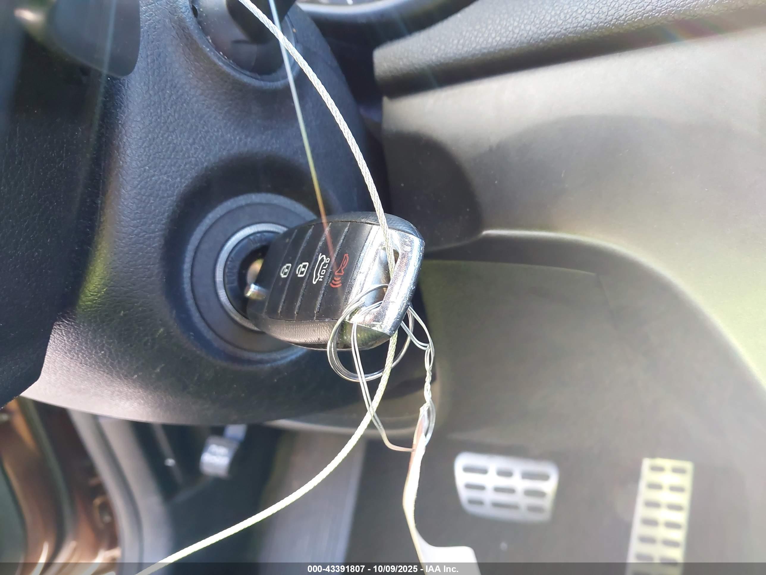KIA SPORTAGE image 11