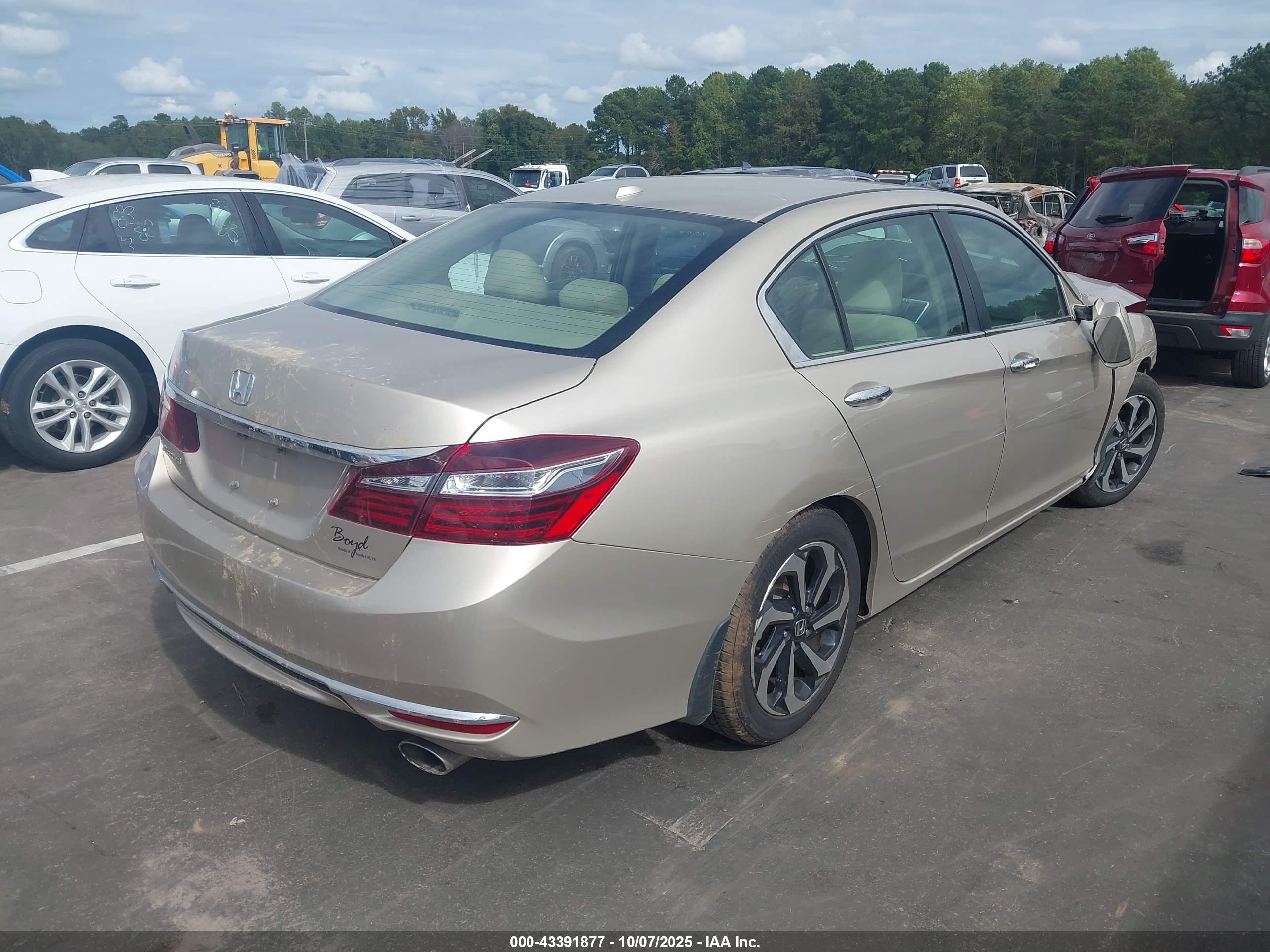 HONDA ACCORD image 4