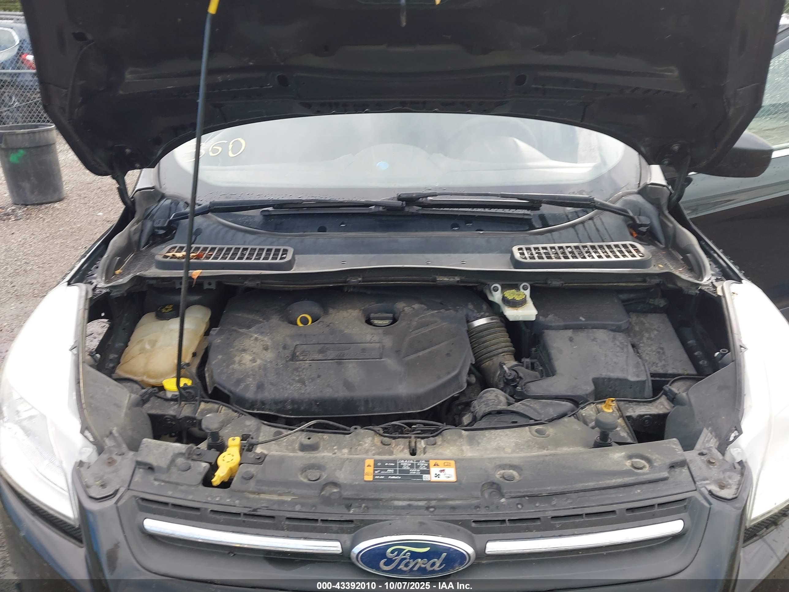 FORD ESCAPE image 10