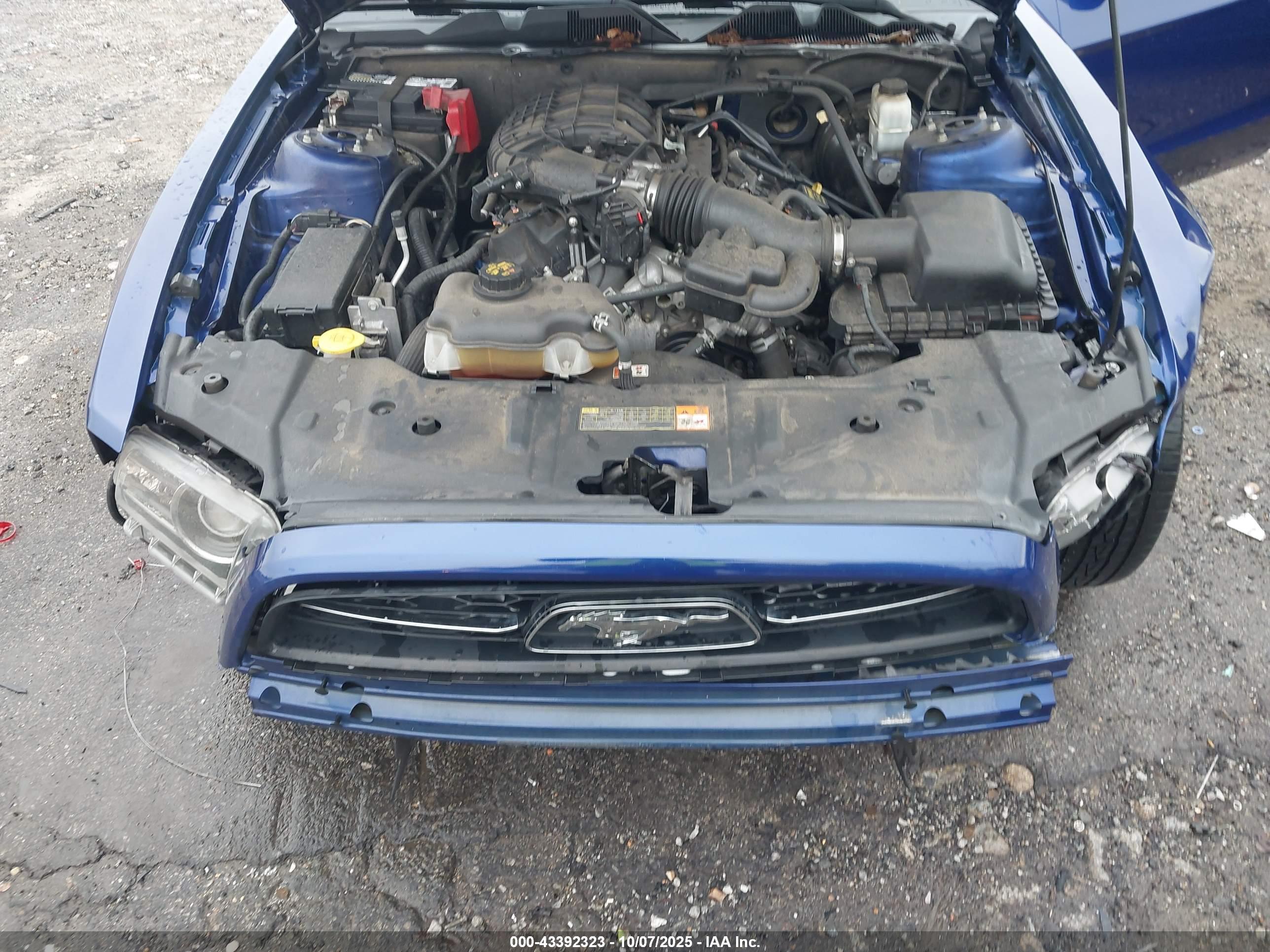 FORD MUSTANG image 10