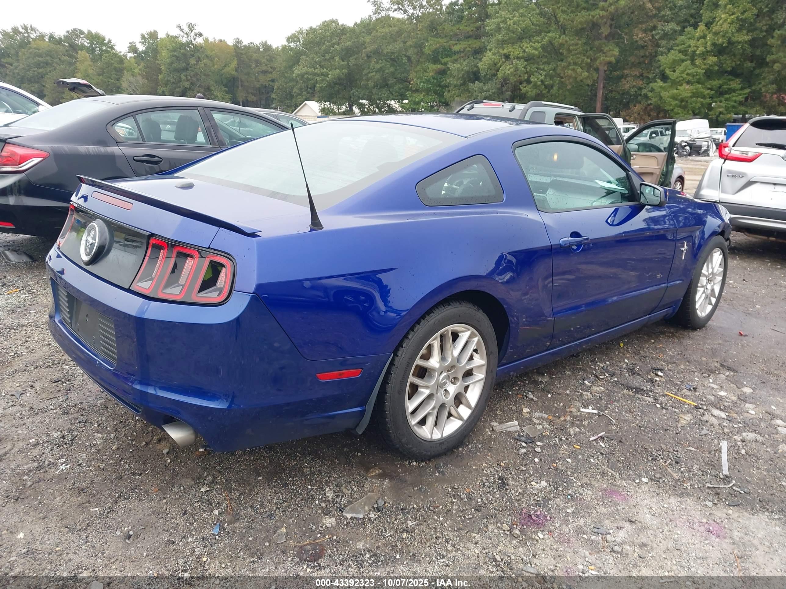 FORD MUSTANG image 4