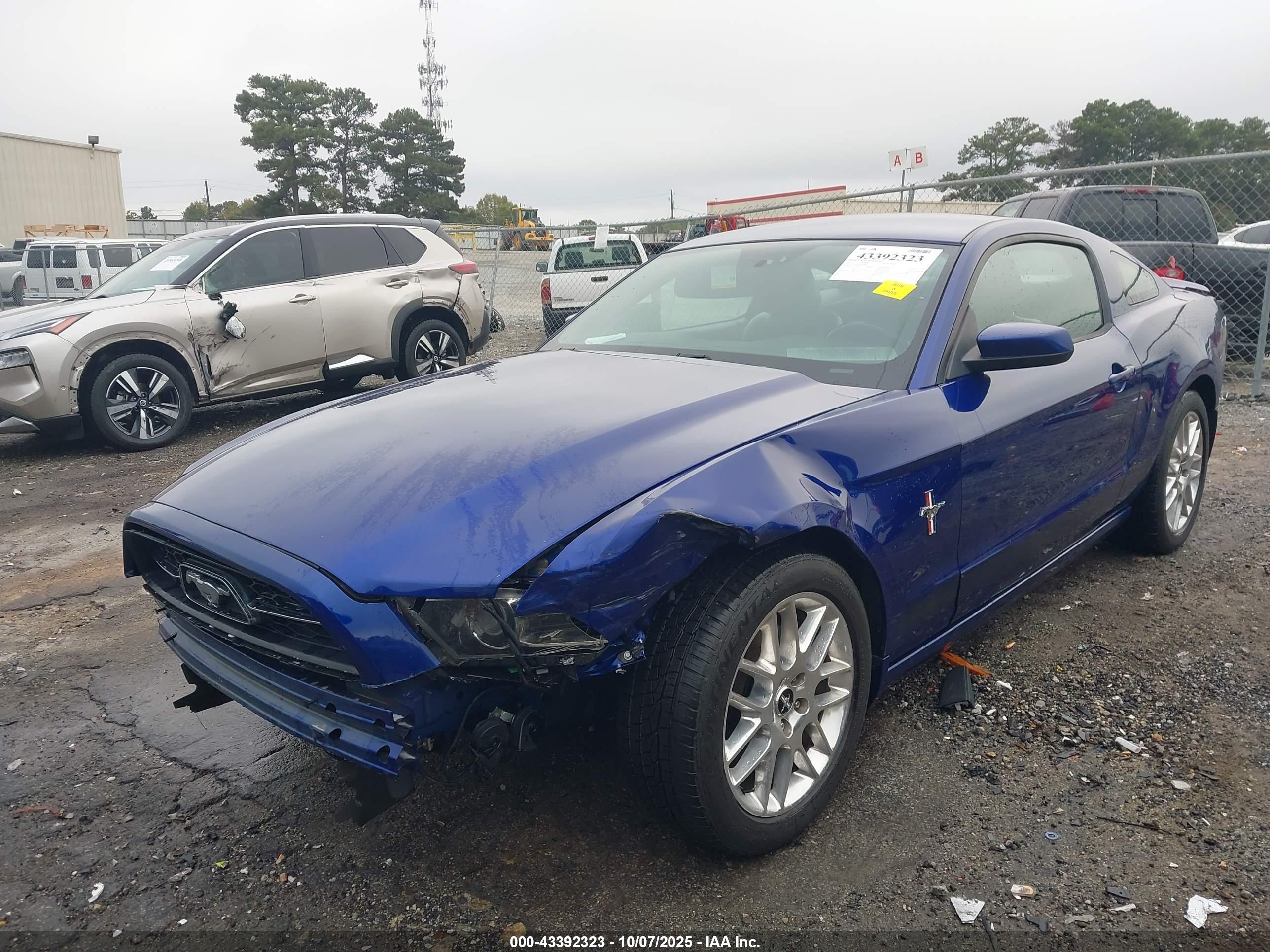 FORD MUSTANG image 6