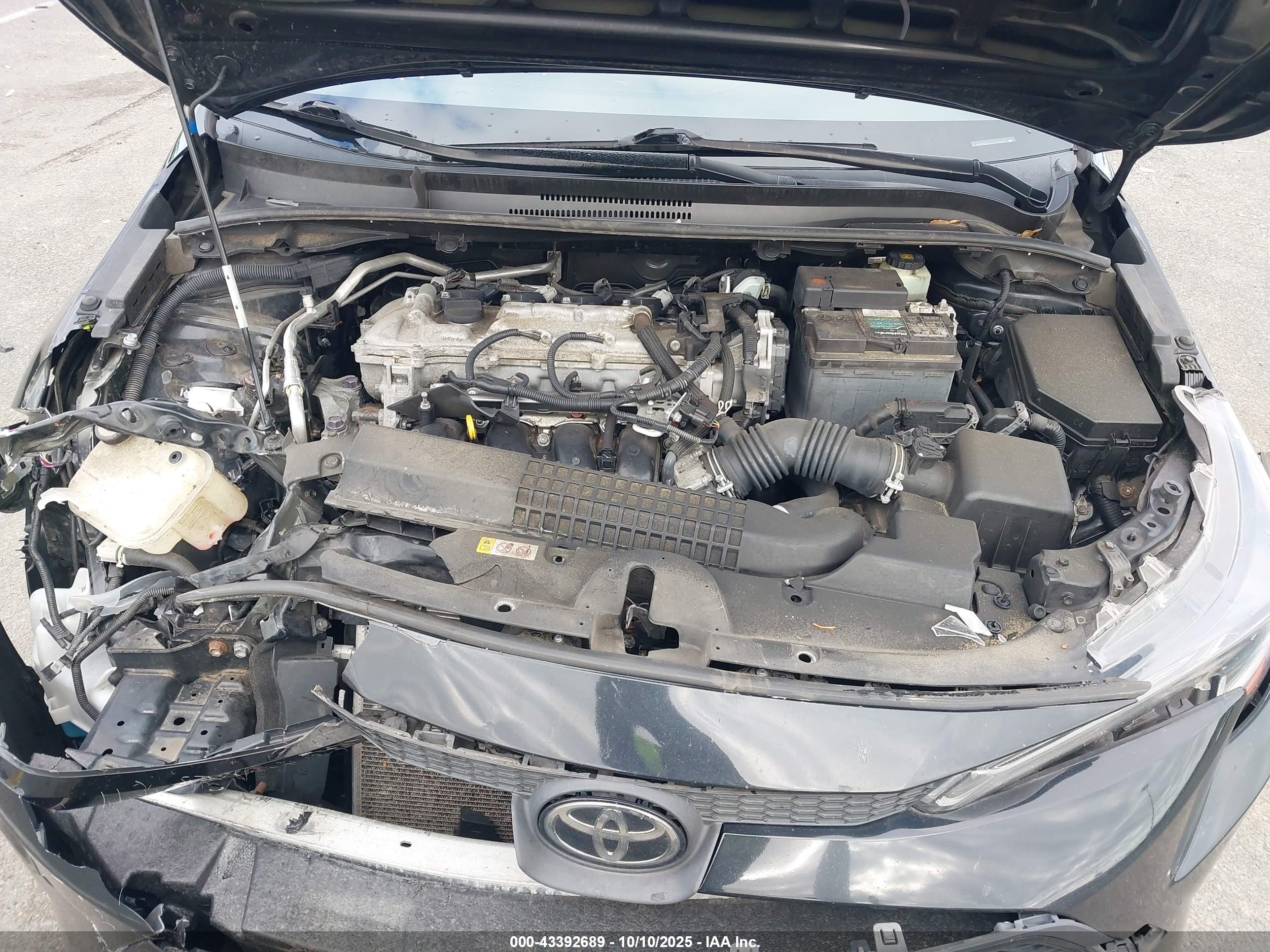 TOYOTA COROLLA image 10