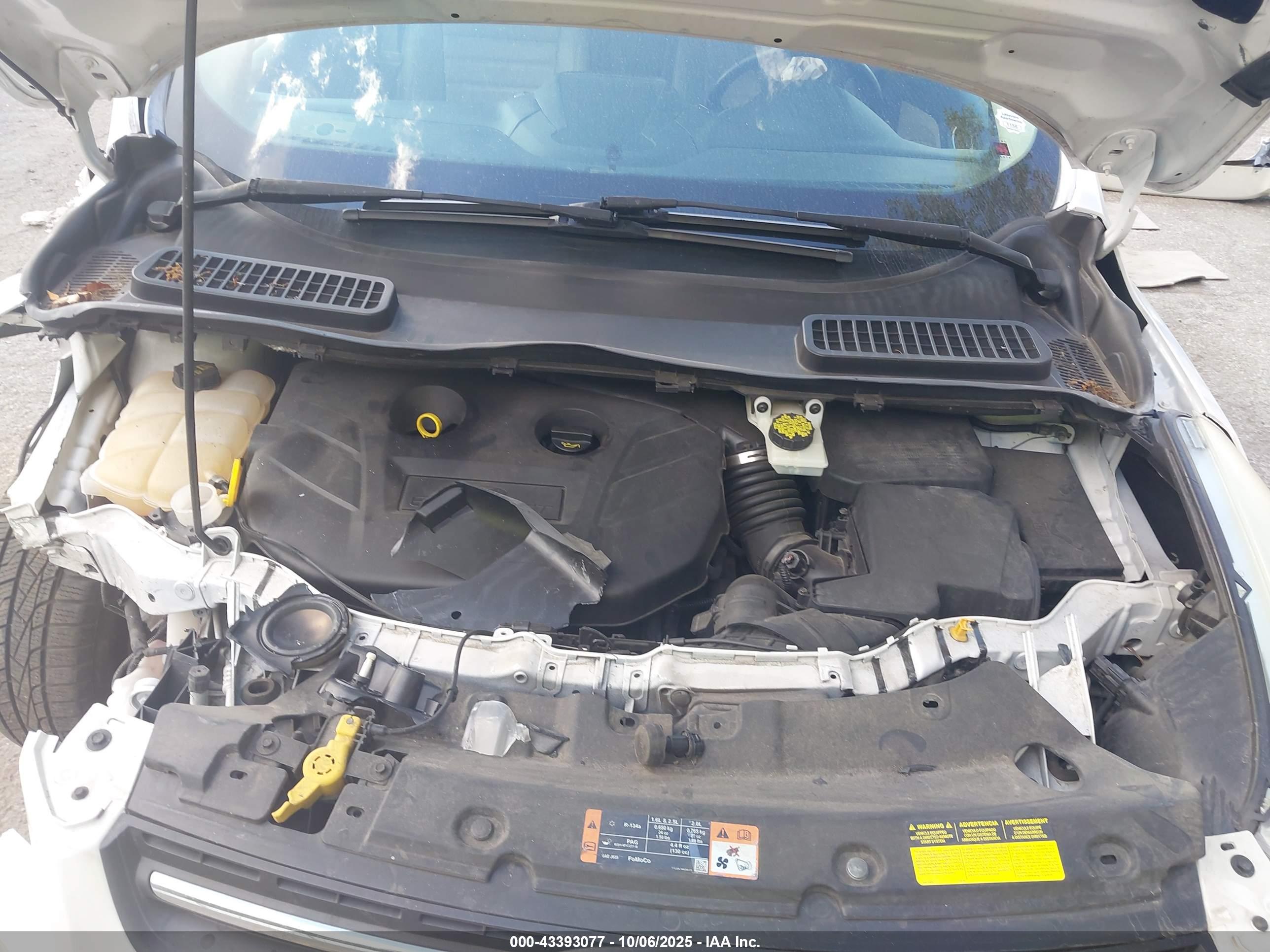 FORD ESCAPE image 10
