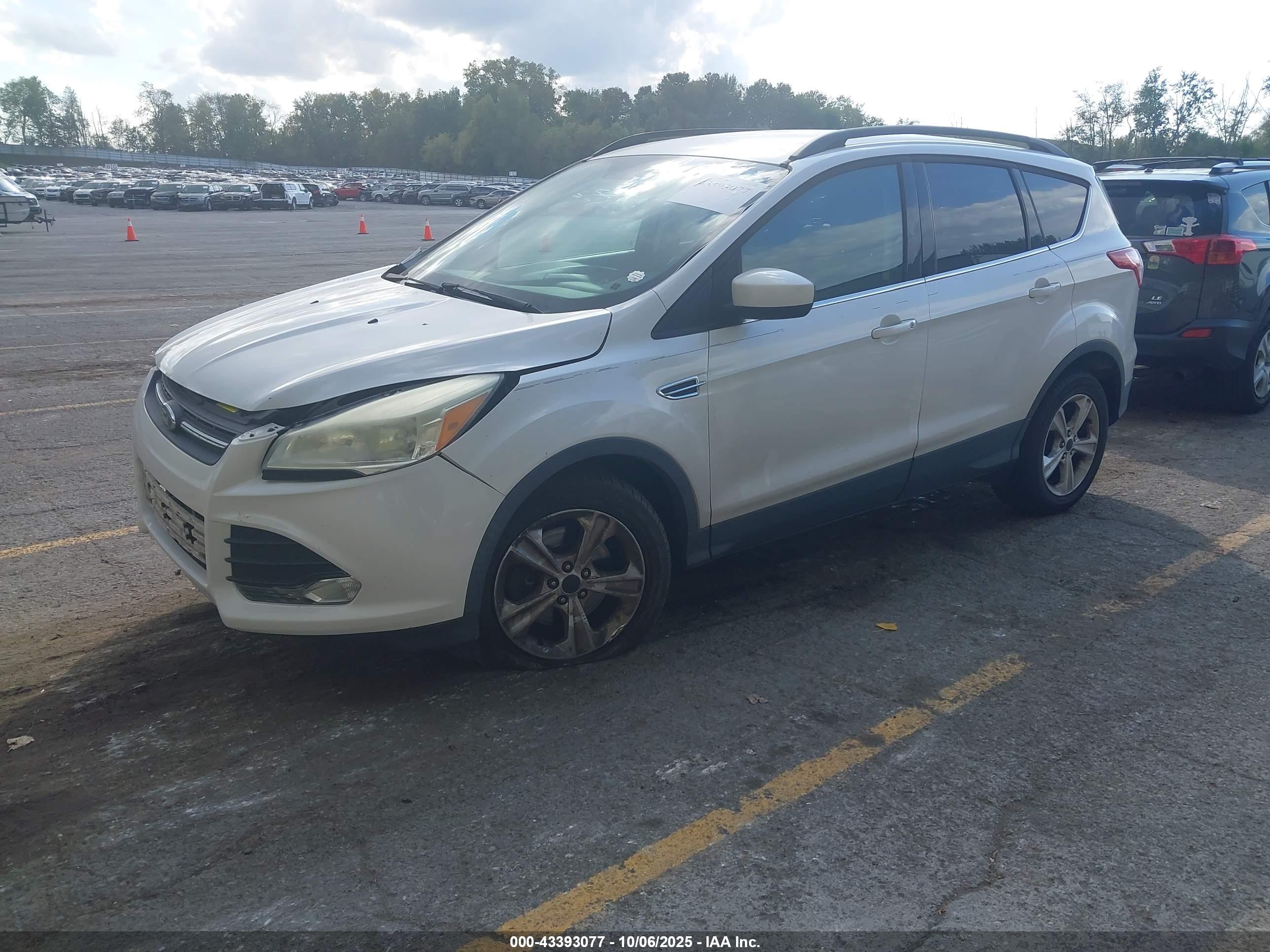 FORD ESCAPE image 2