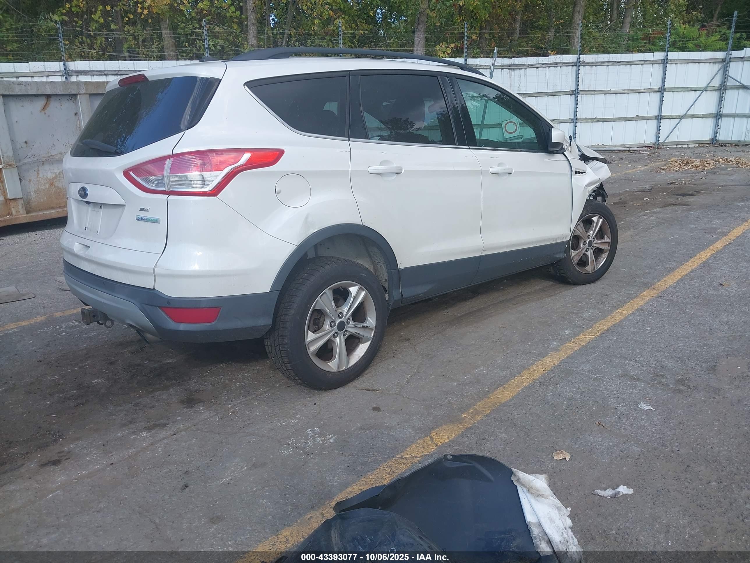 FORD ESCAPE image 4