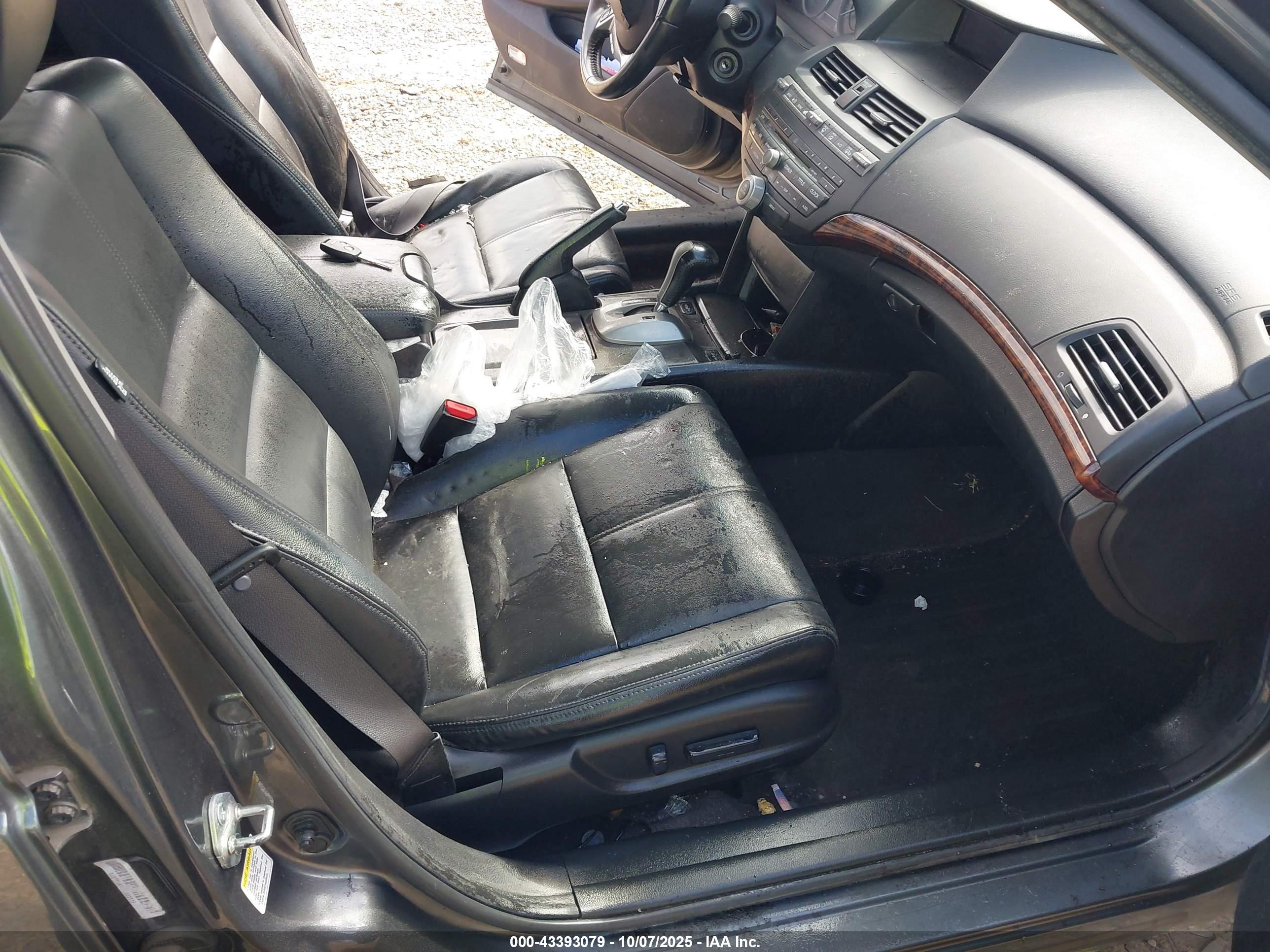 HONDA CROSSTOUR image 5