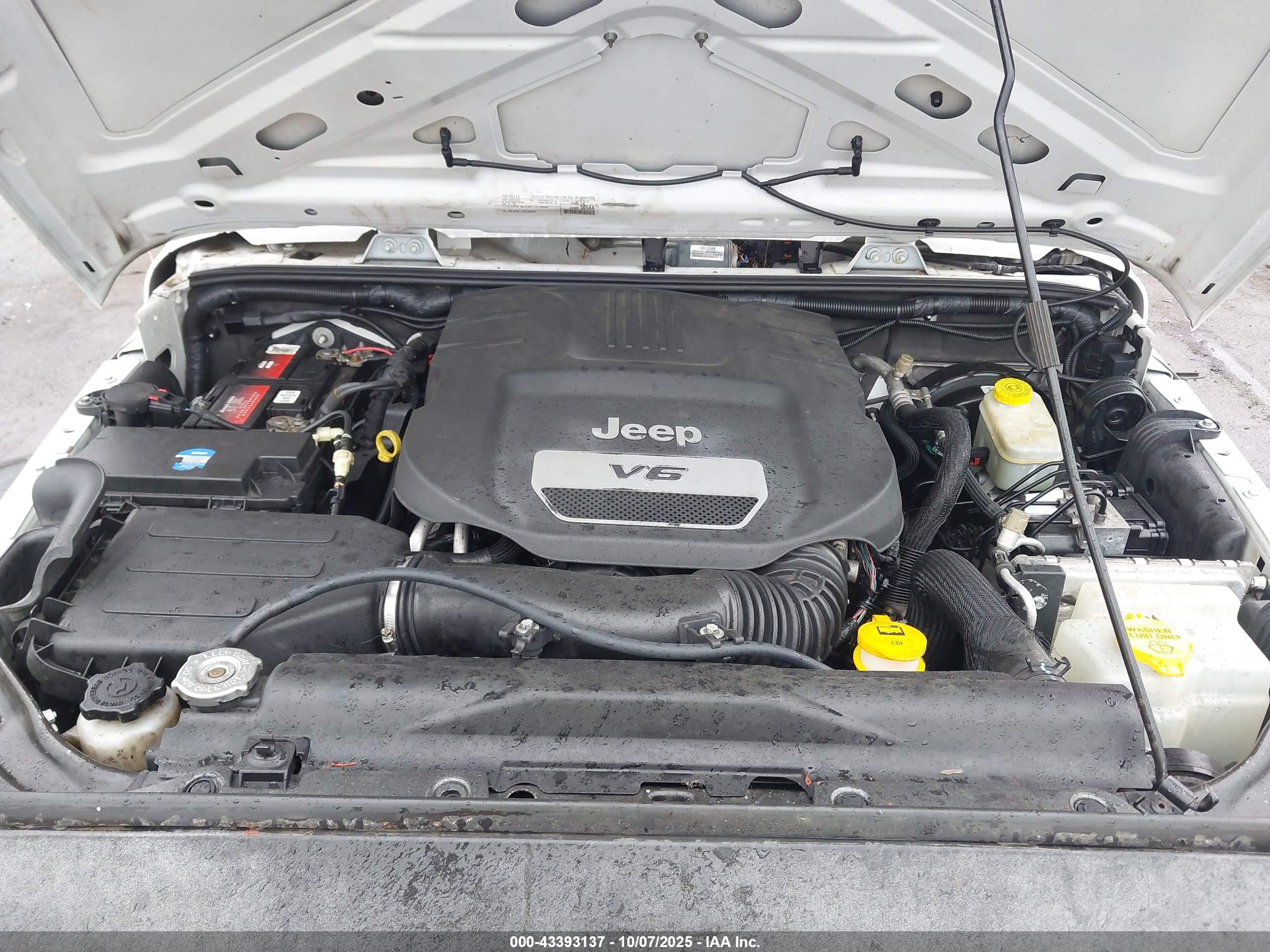 JEEP WRANGLER image 10