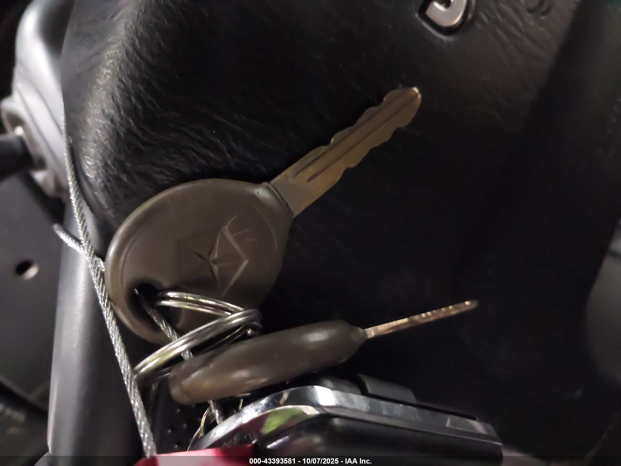 JEEP WRANGLER image 11