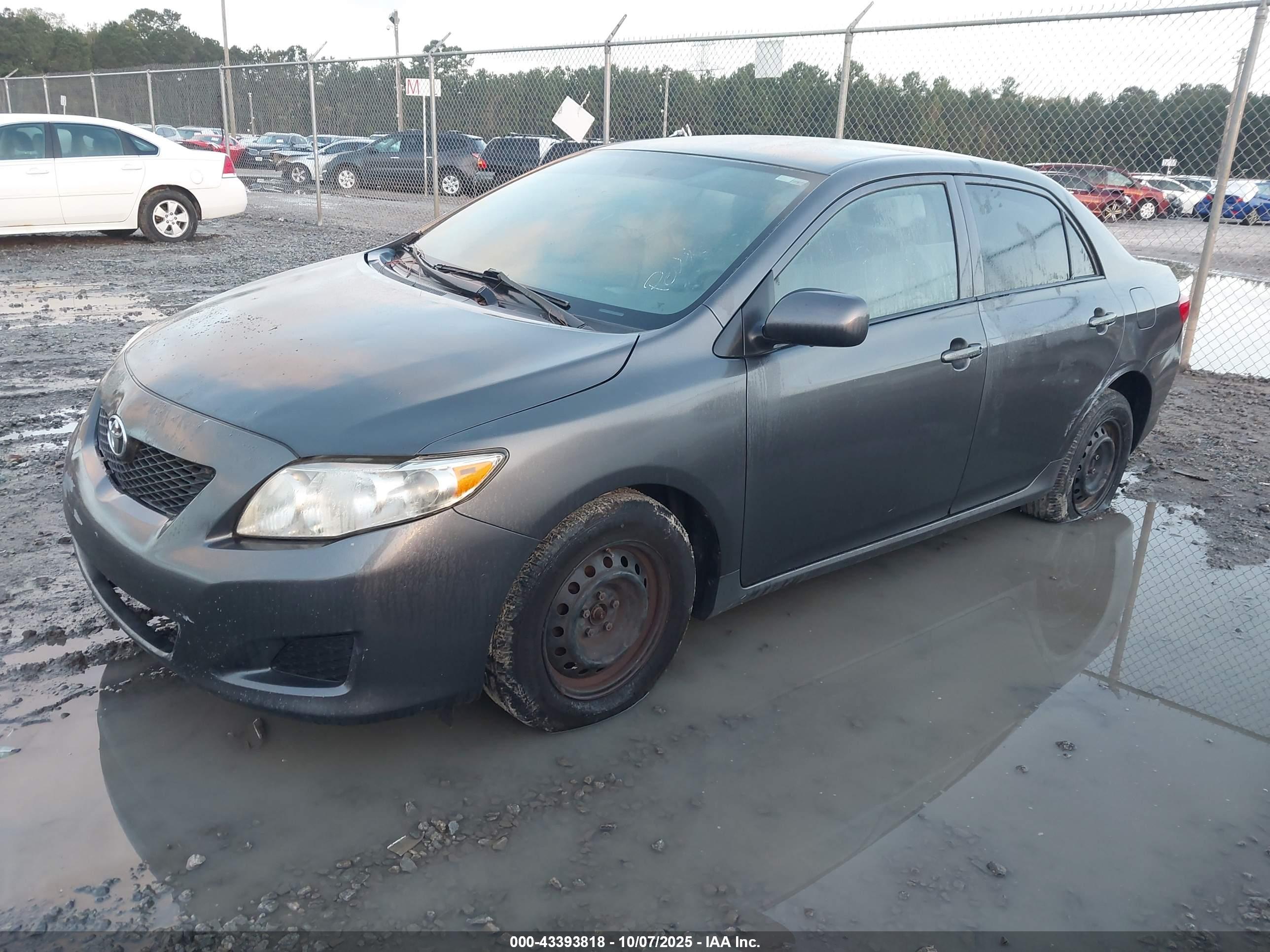 TOYOTA COROLLA image 2