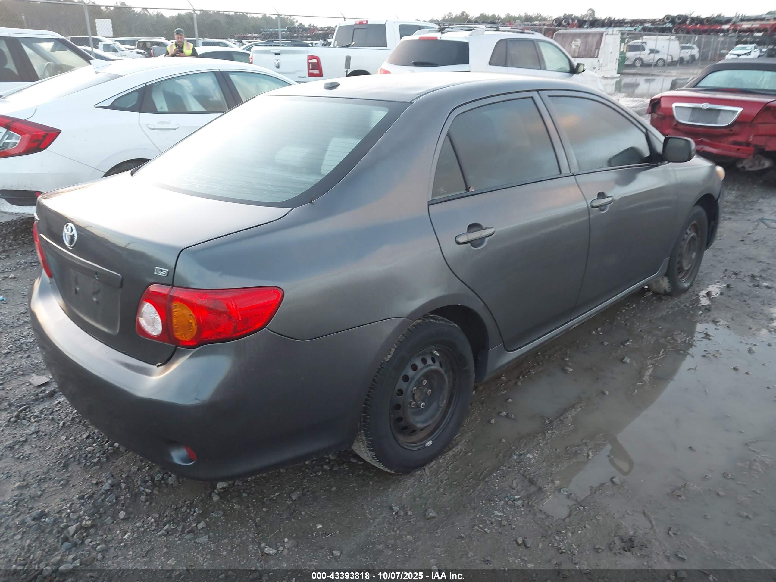 TOYOTA COROLLA image 4