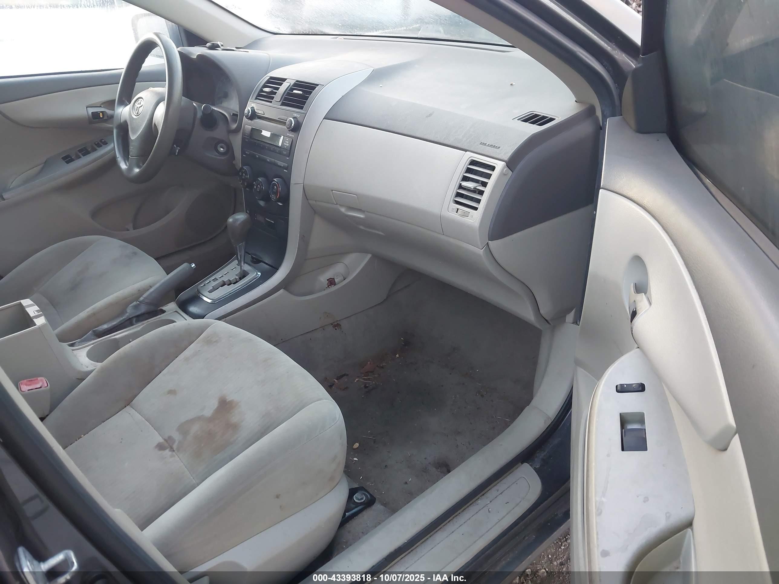 TOYOTA COROLLA image 5