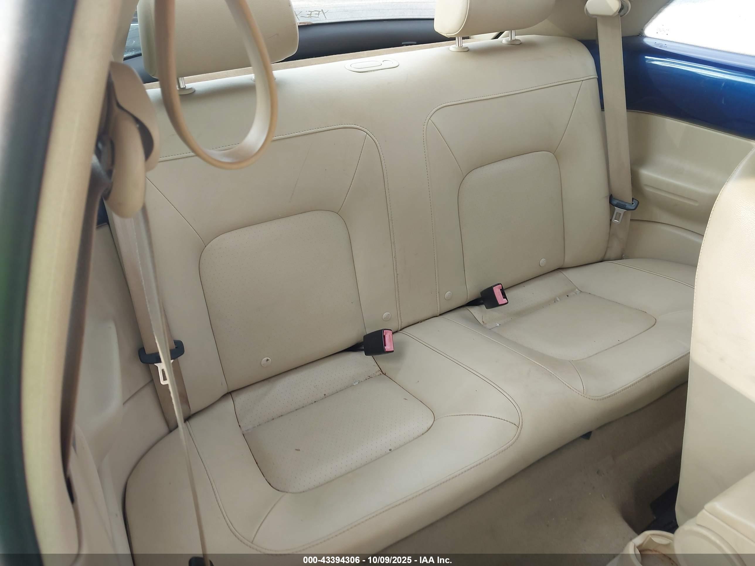 VOLKSWAGEN NEW image 8