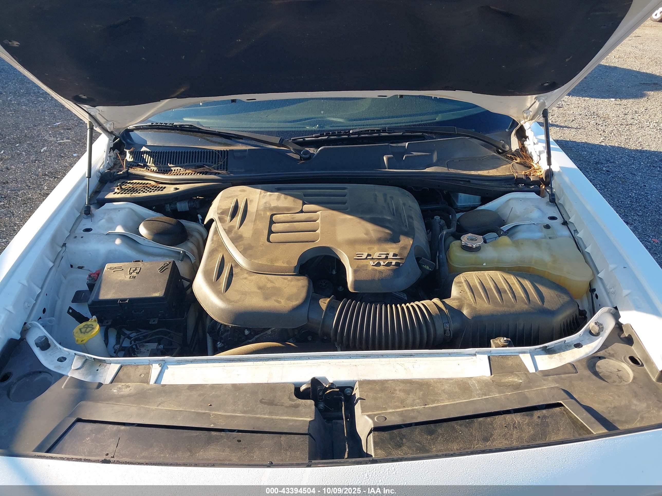 DODGE CHALLENGER image 10
