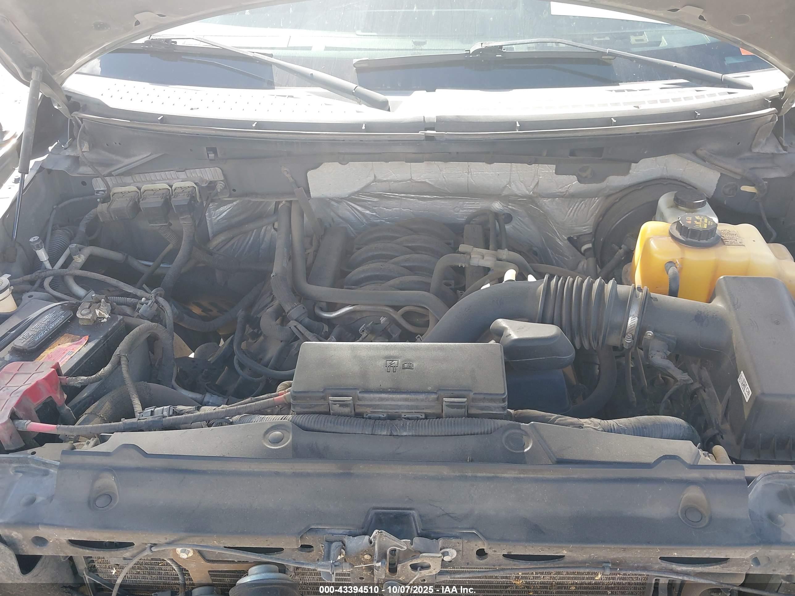 FORD F-150 image 10