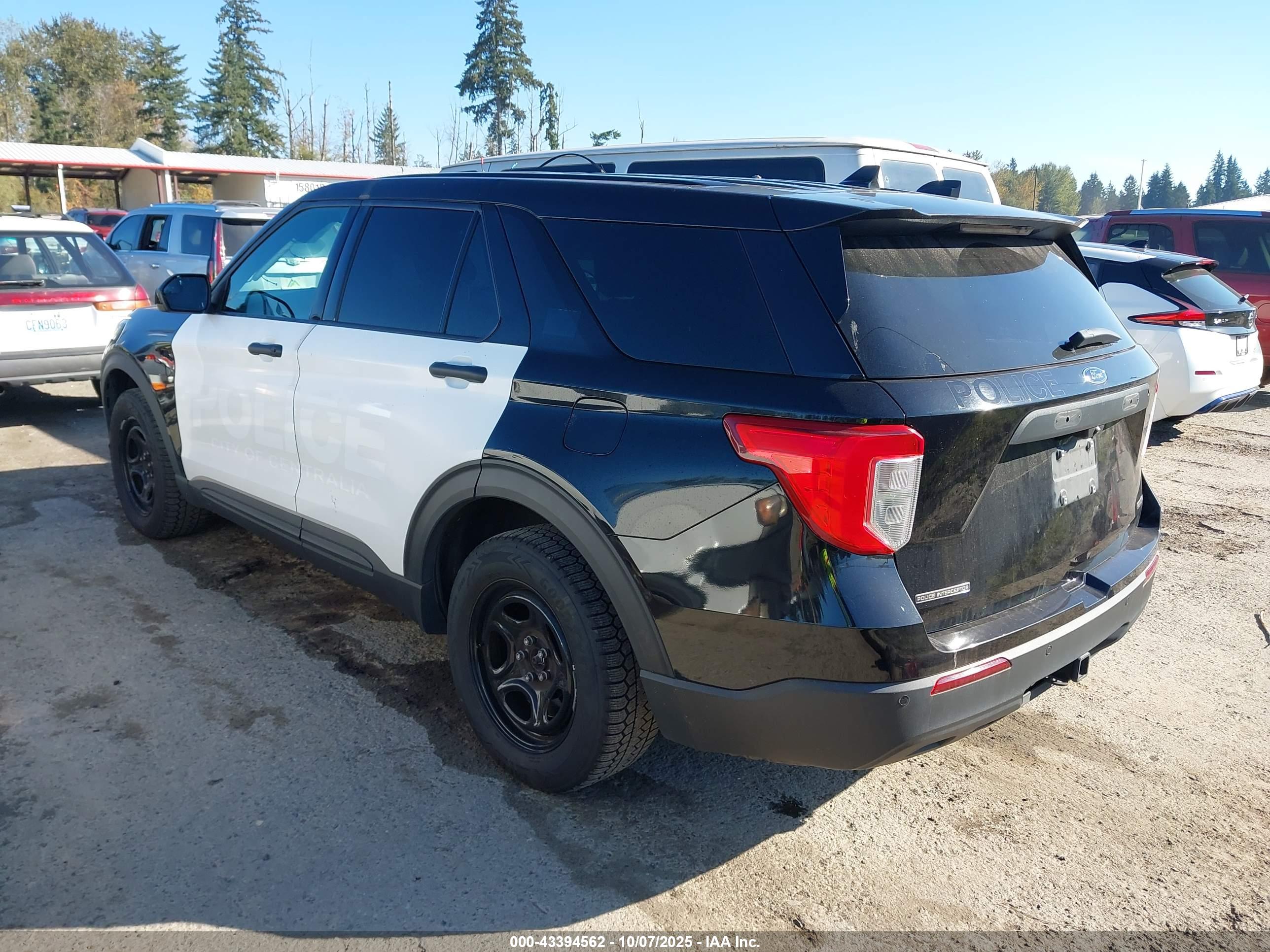 FORD POLICE image 3