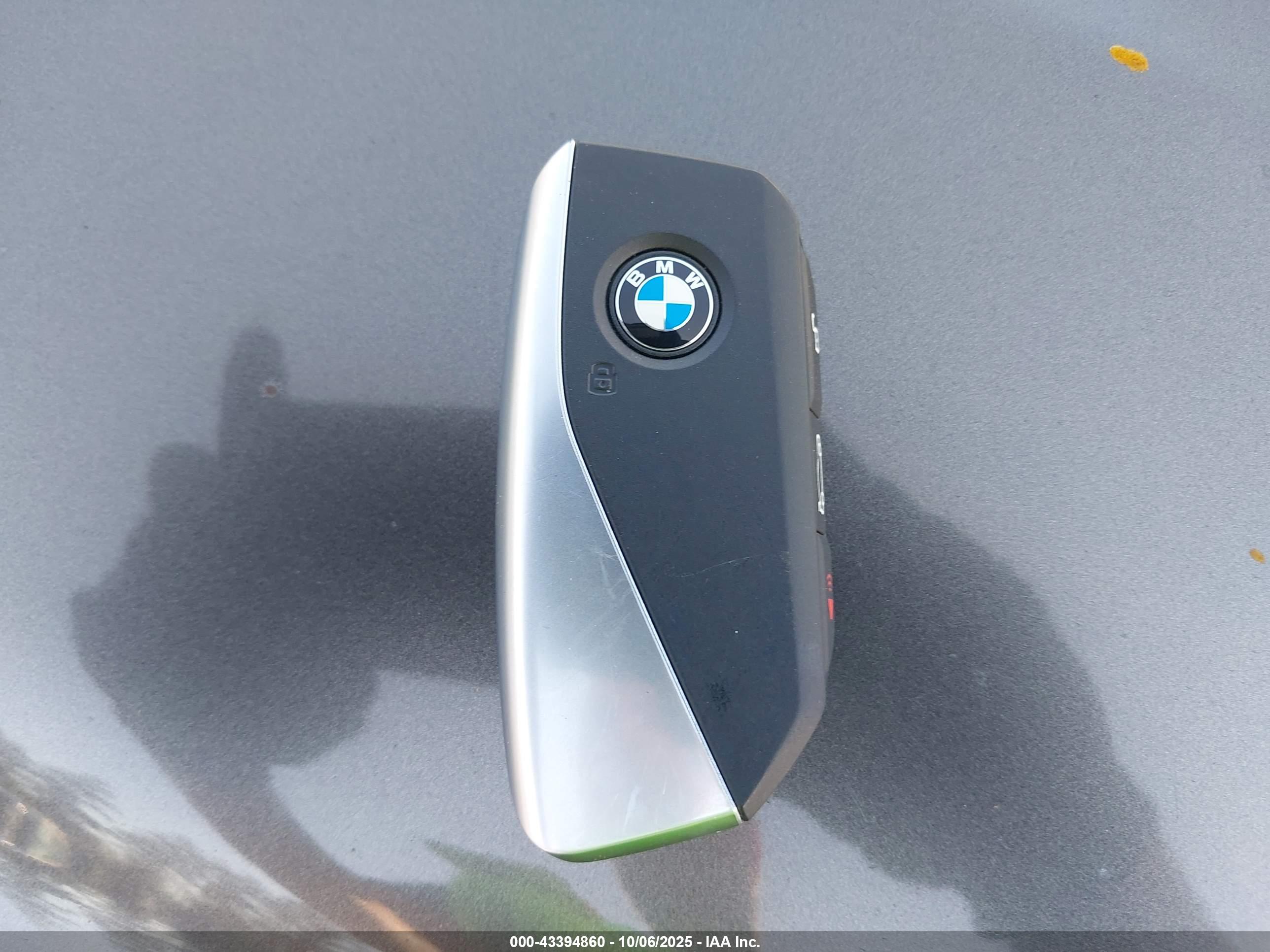BMW IX image 11
