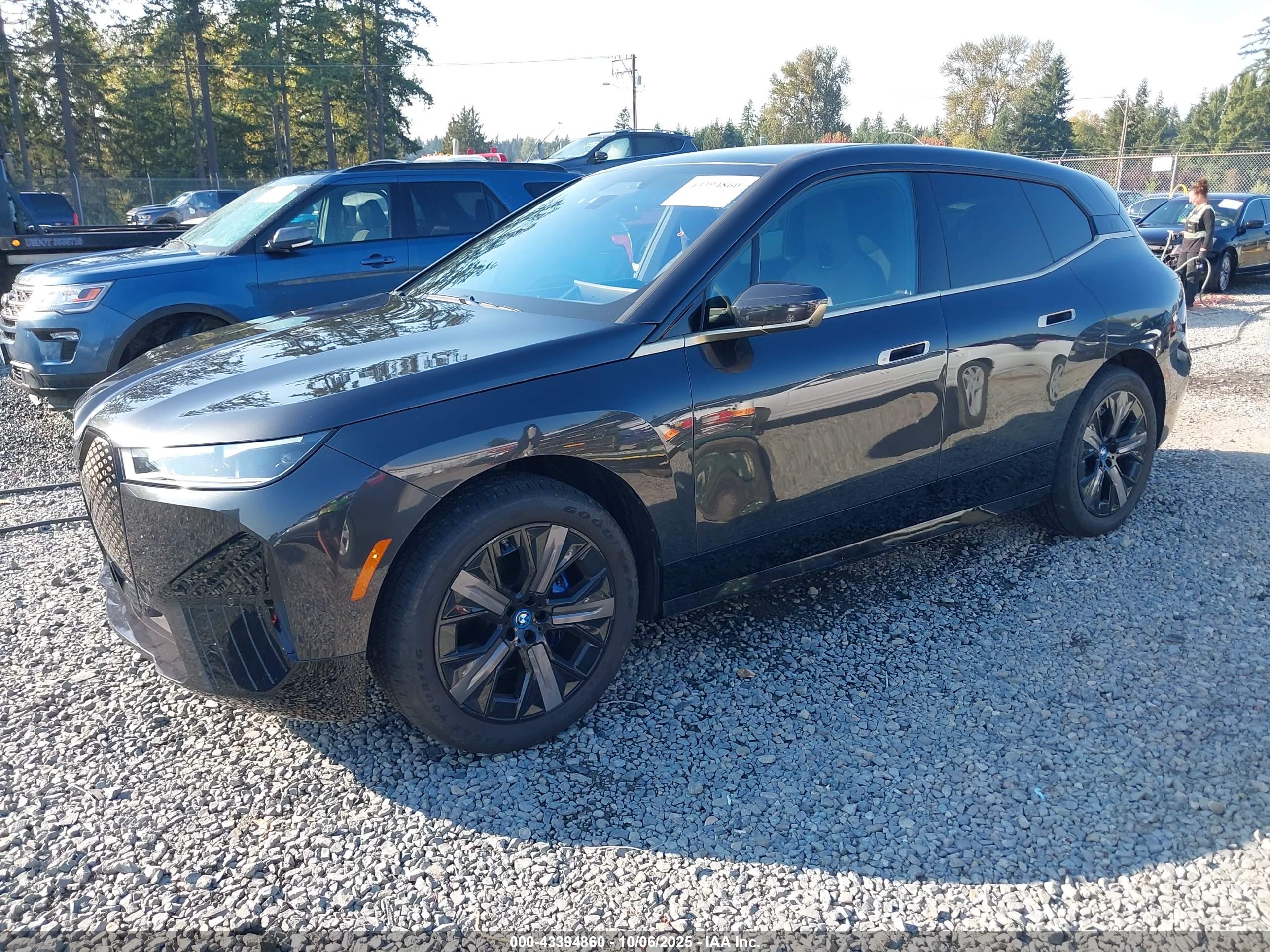 BMW IX image 2
