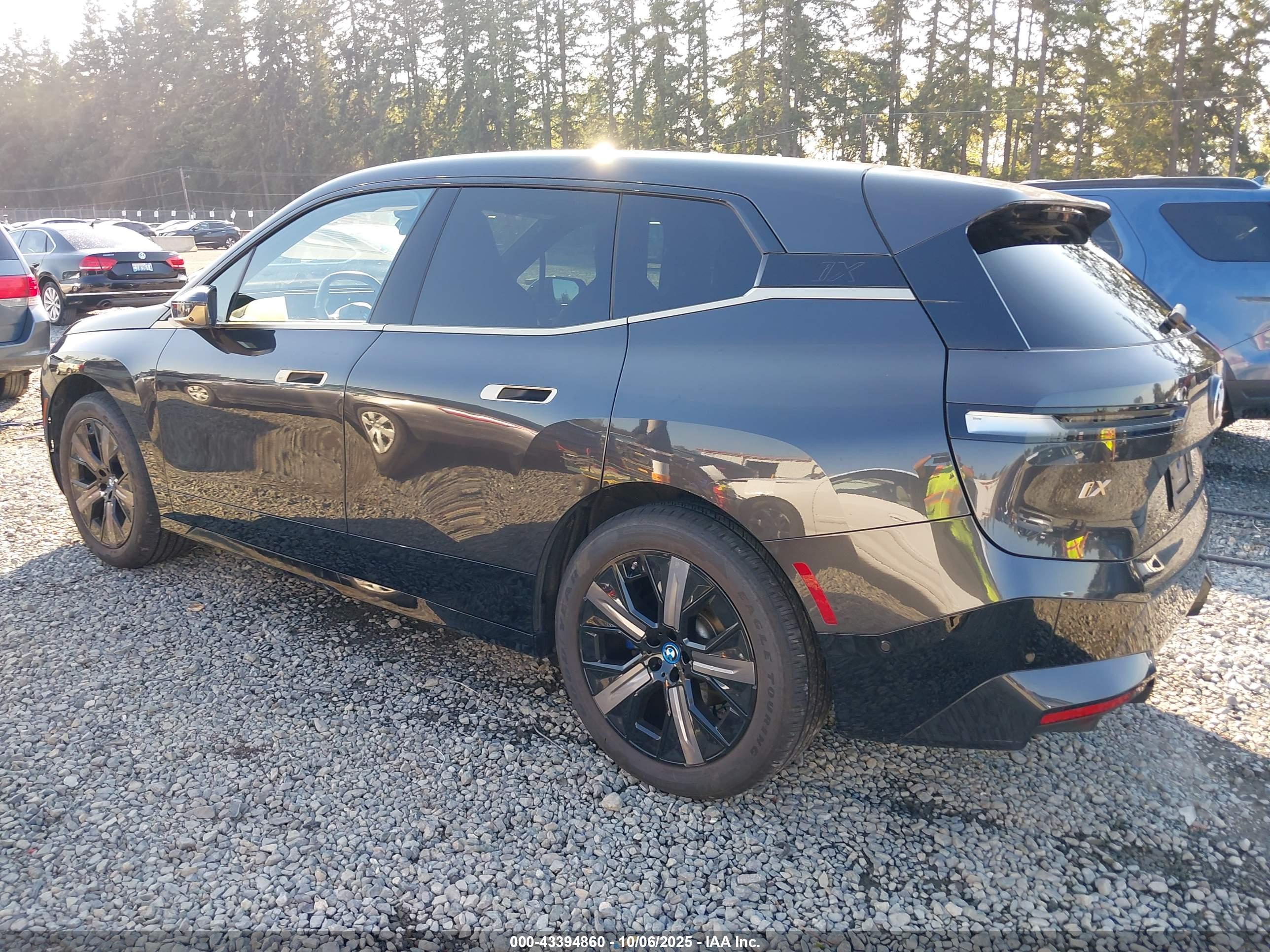 BMW IX image 3