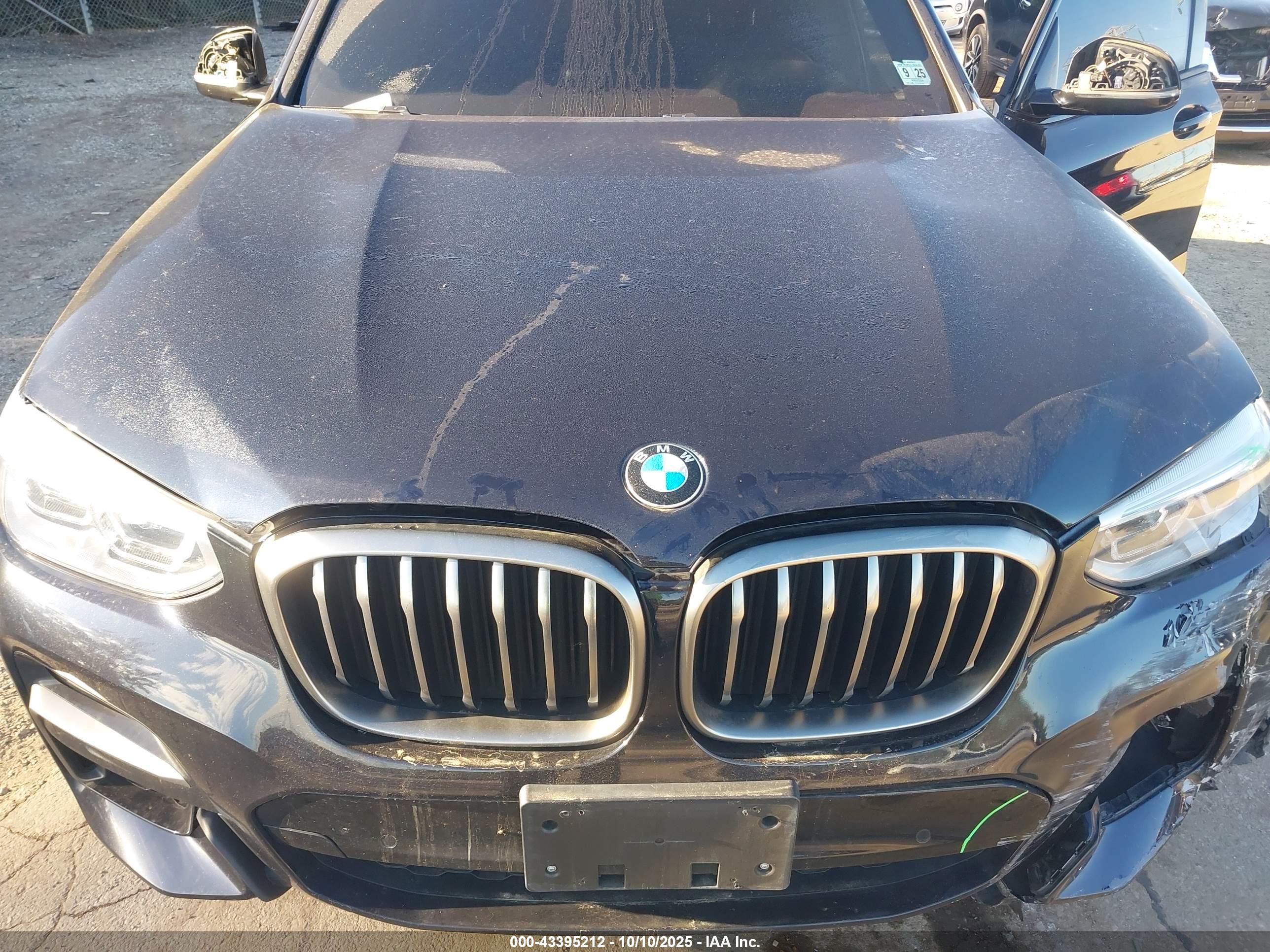 BMW X3 image 10