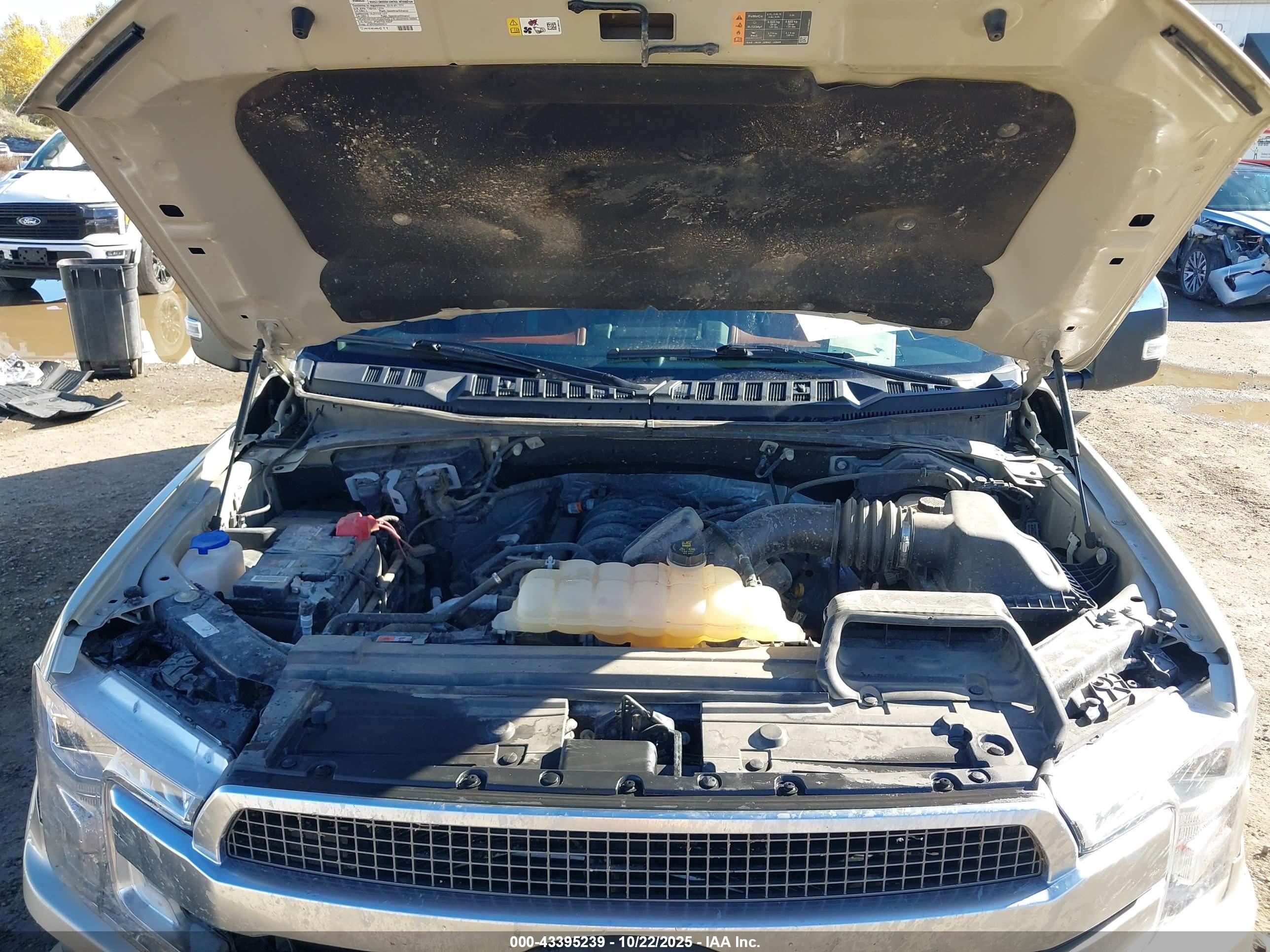 FORD F-150 image 10