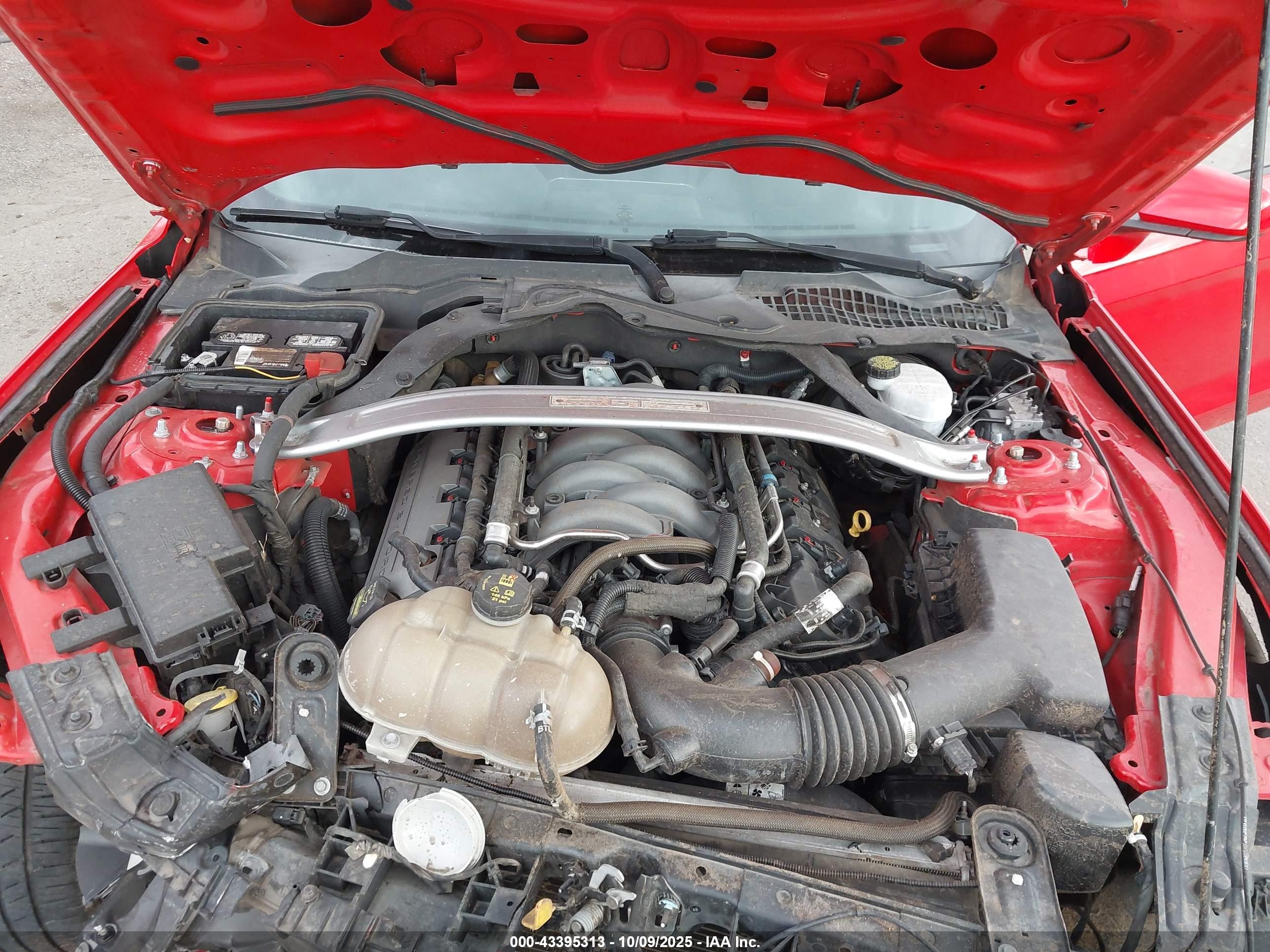 FORD MUSTANG image 10