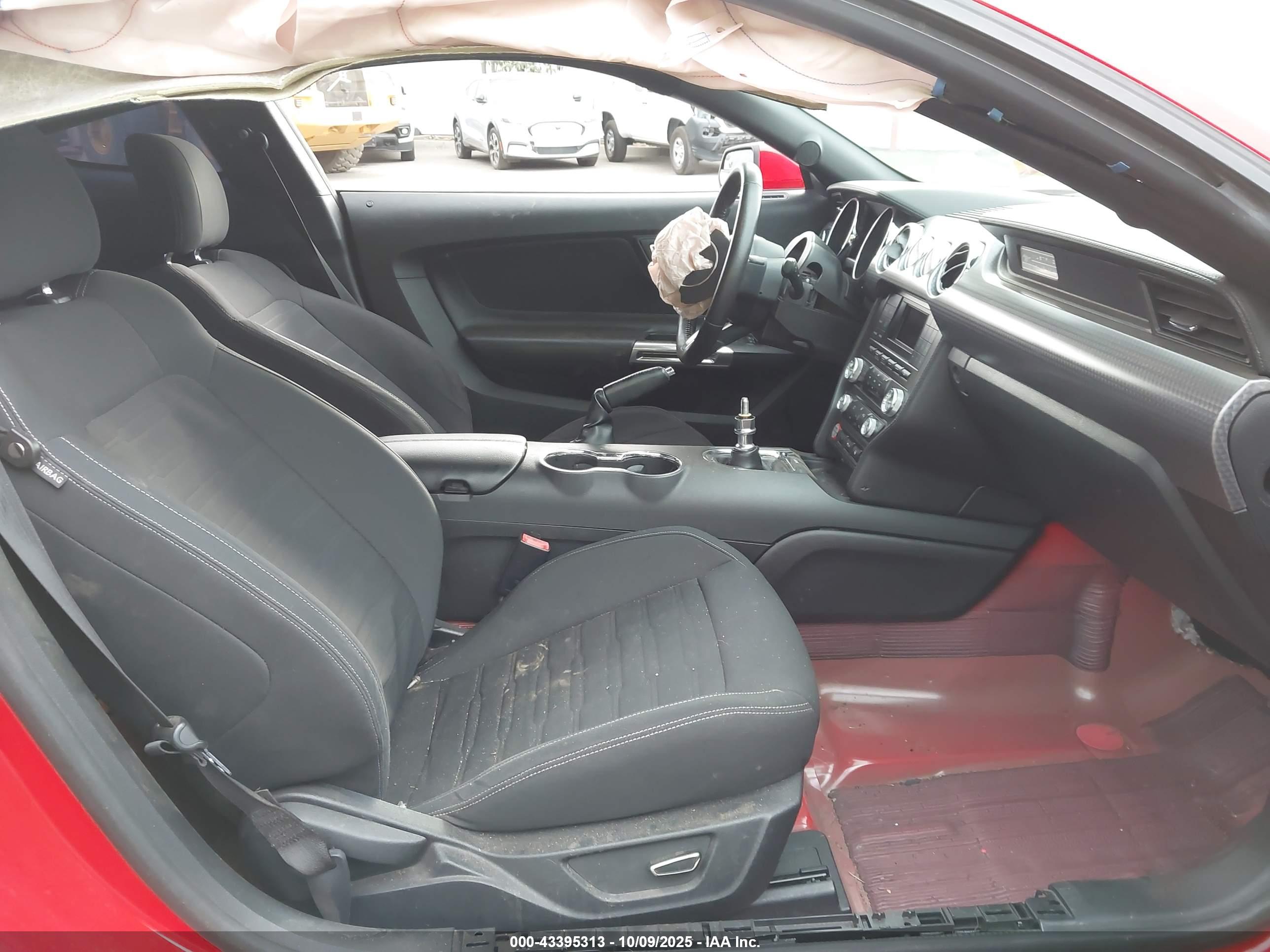FORD MUSTANG image 5