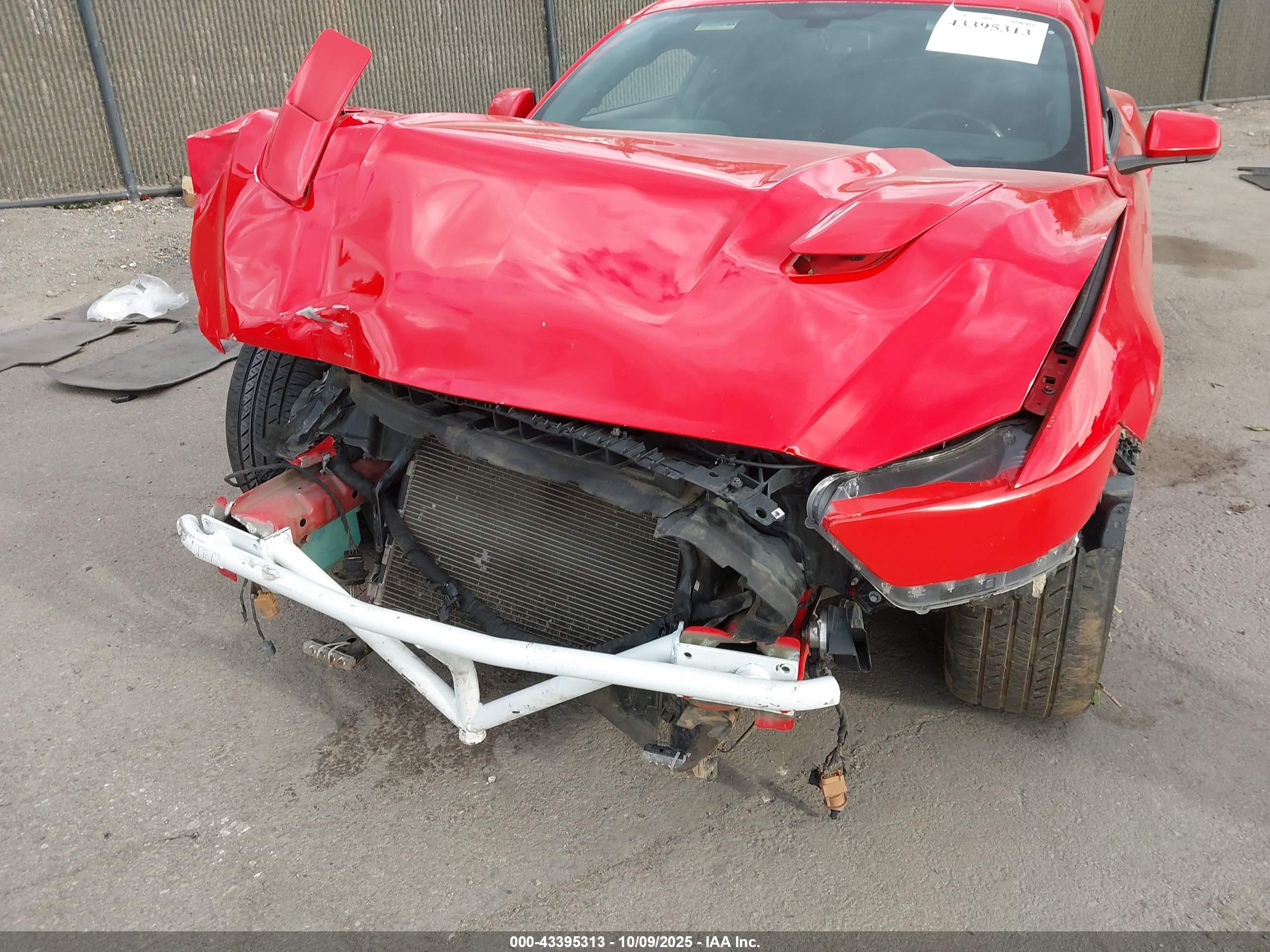 FORD MUSTANG image 6