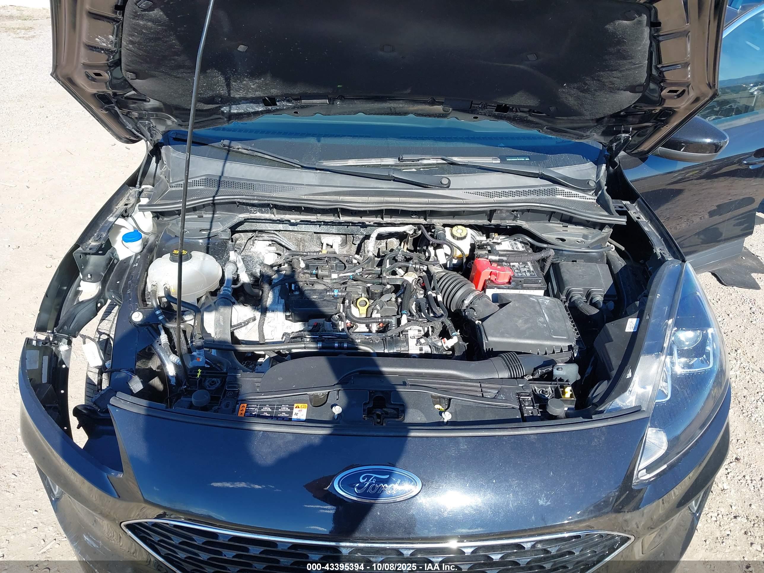 FORD ESCAPE image 10