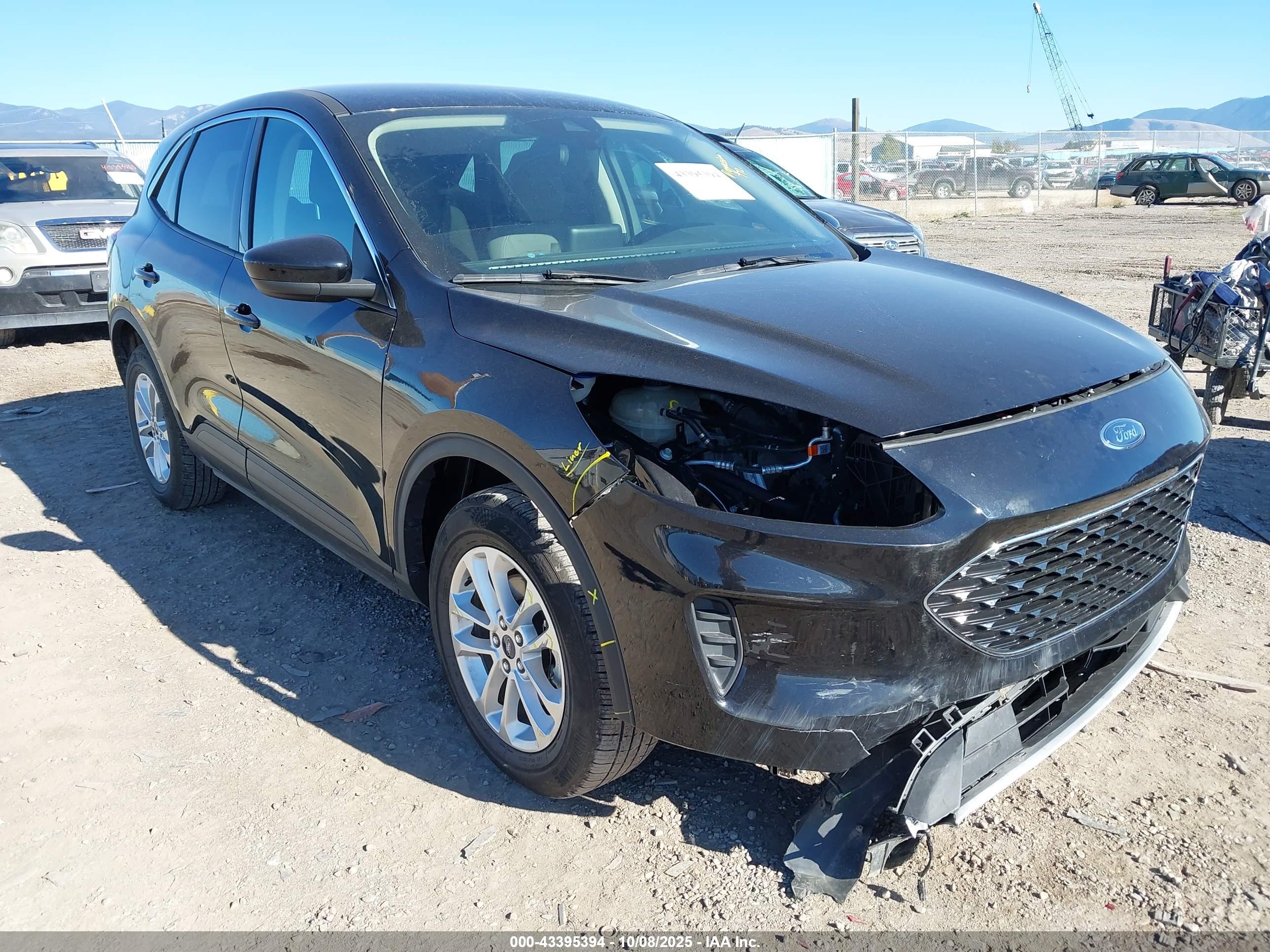 FORD ESCAPE image 6