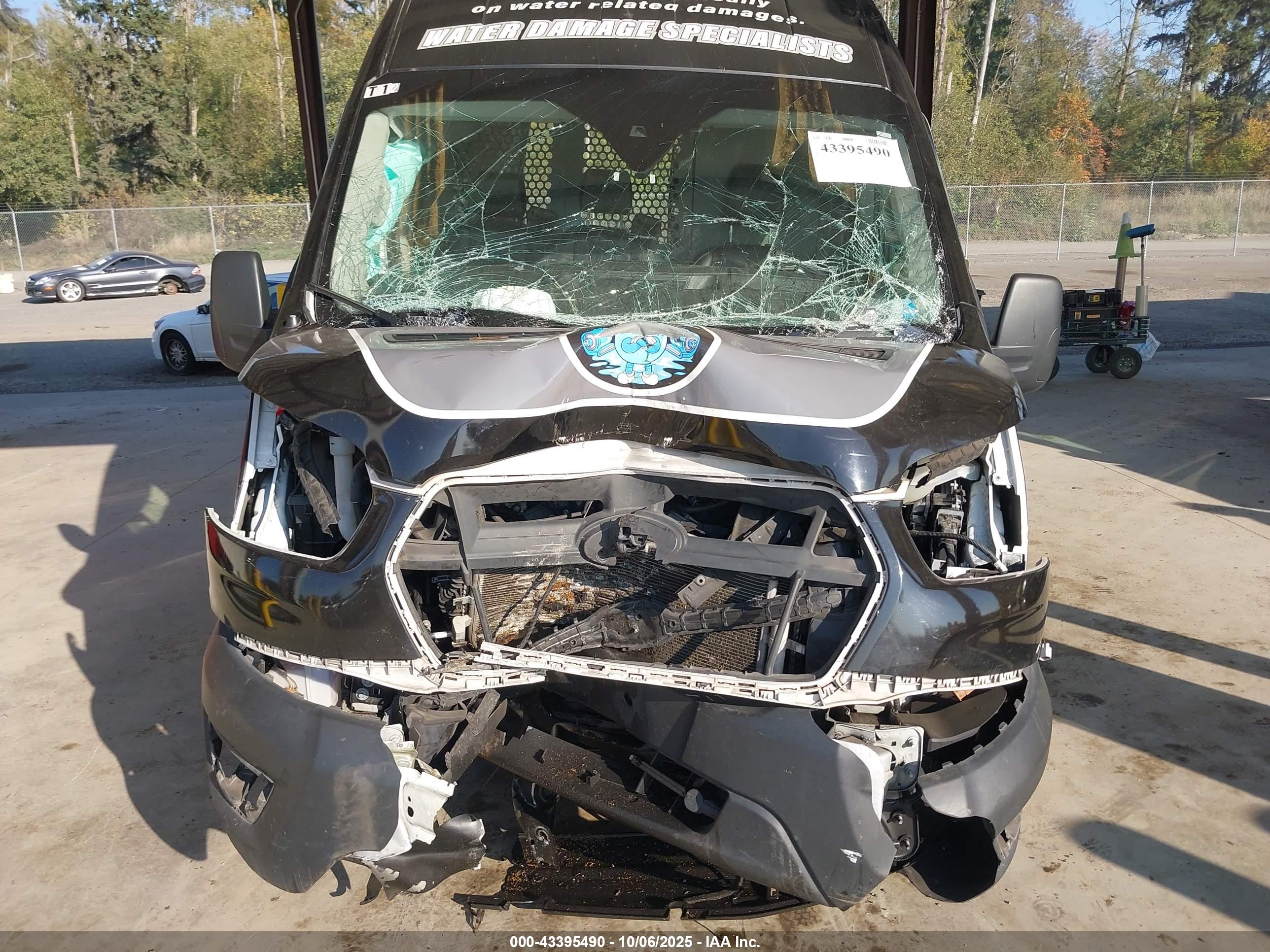 FORD TRANSIT-250 image 6