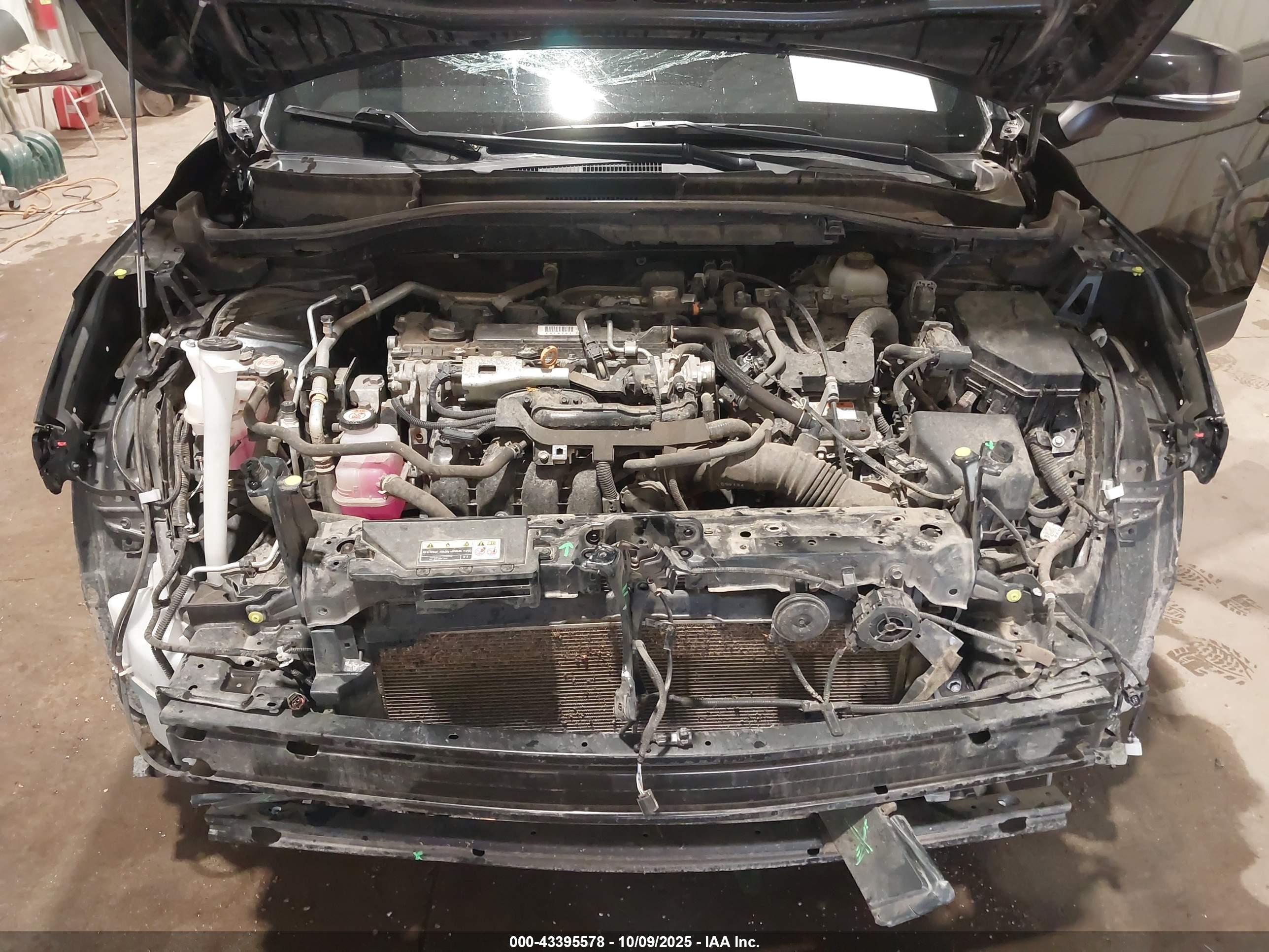 TOYOTA COROLLA image 10