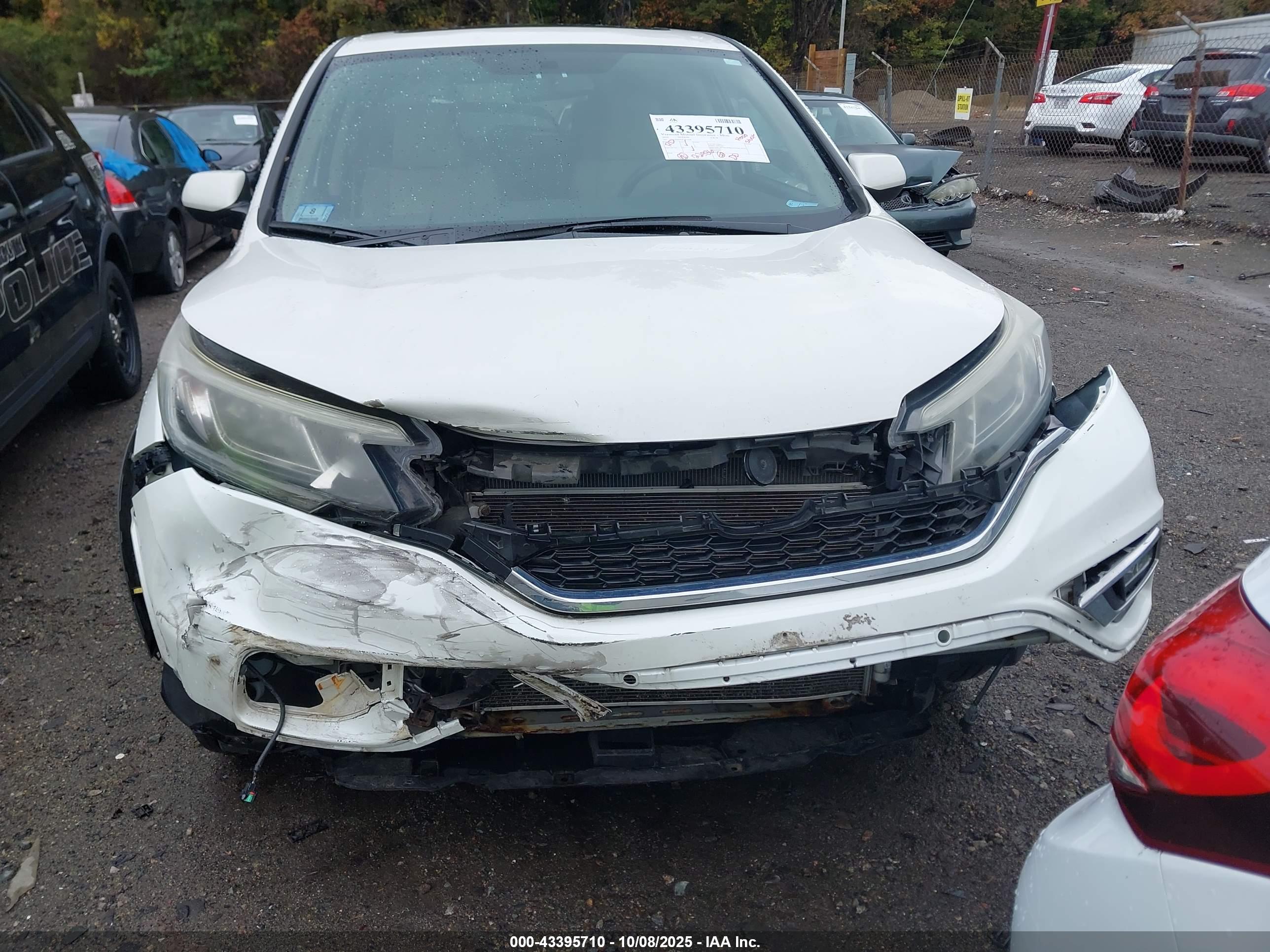 HONDA CR-V image 6