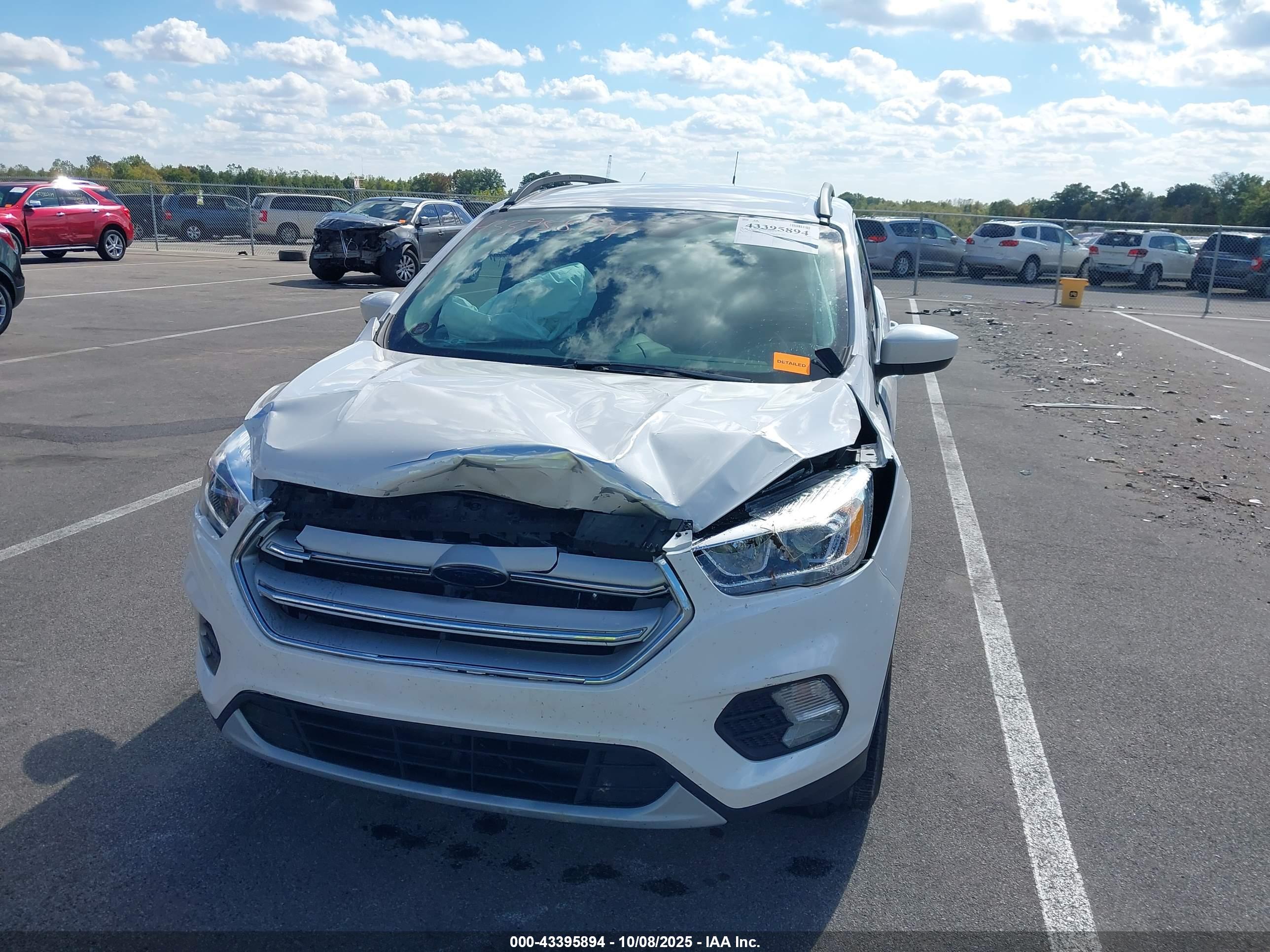 FORD ESCAPE image 6
