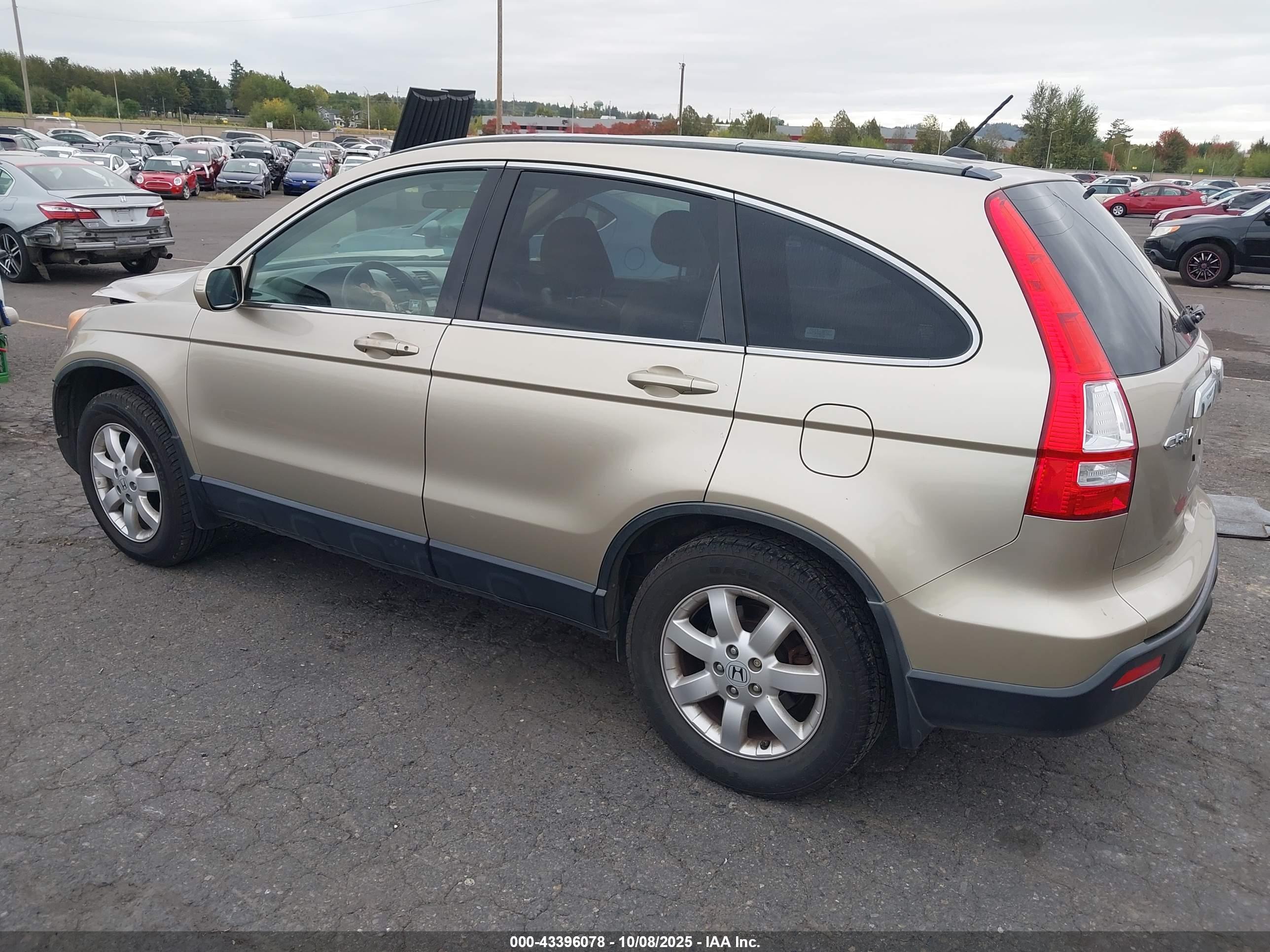 HONDA CR-V image 3