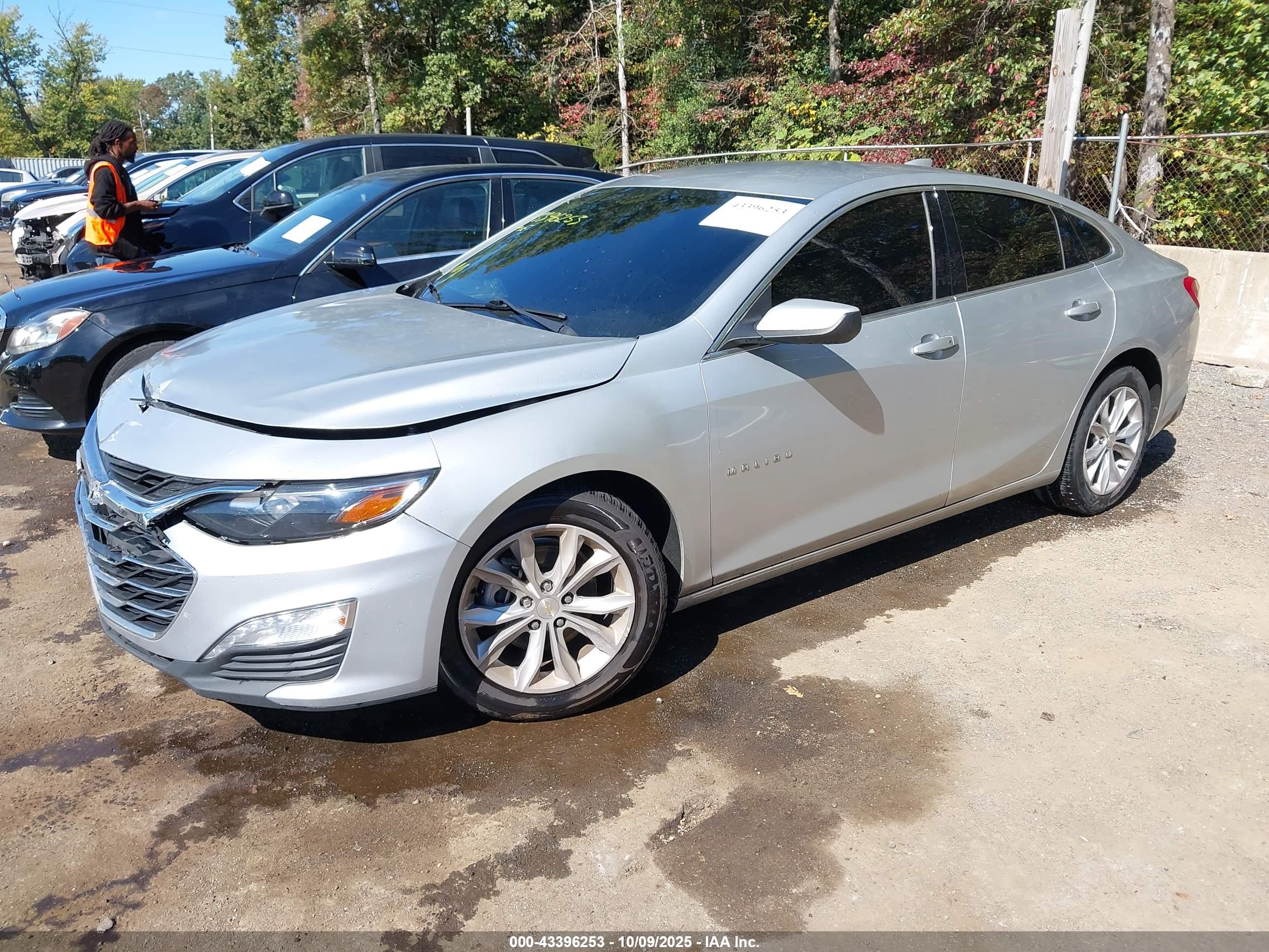 CHEVROLET MALIBU image 2