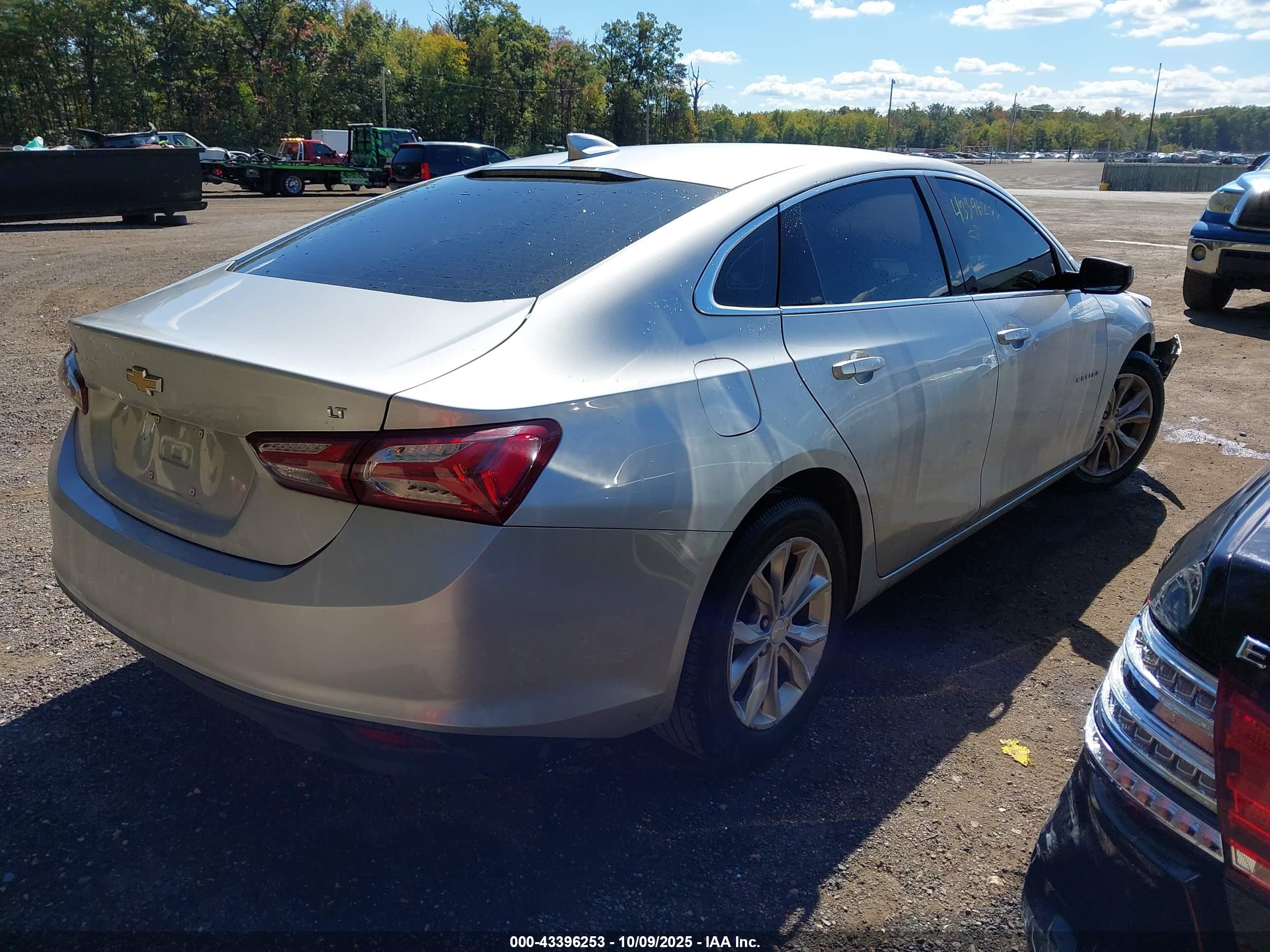 CHEVROLET MALIBU image 4