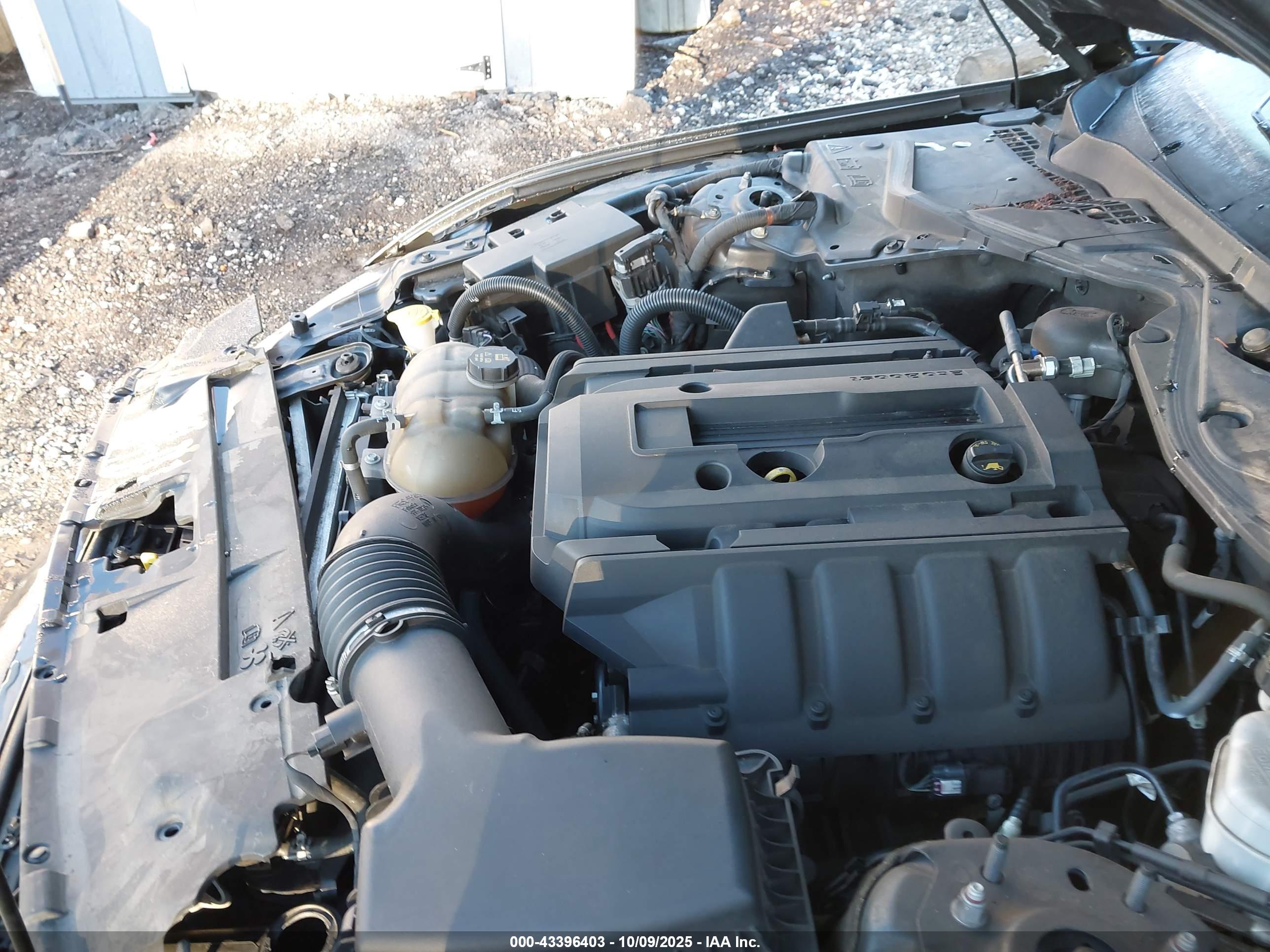 FORD MUSTANG image 10