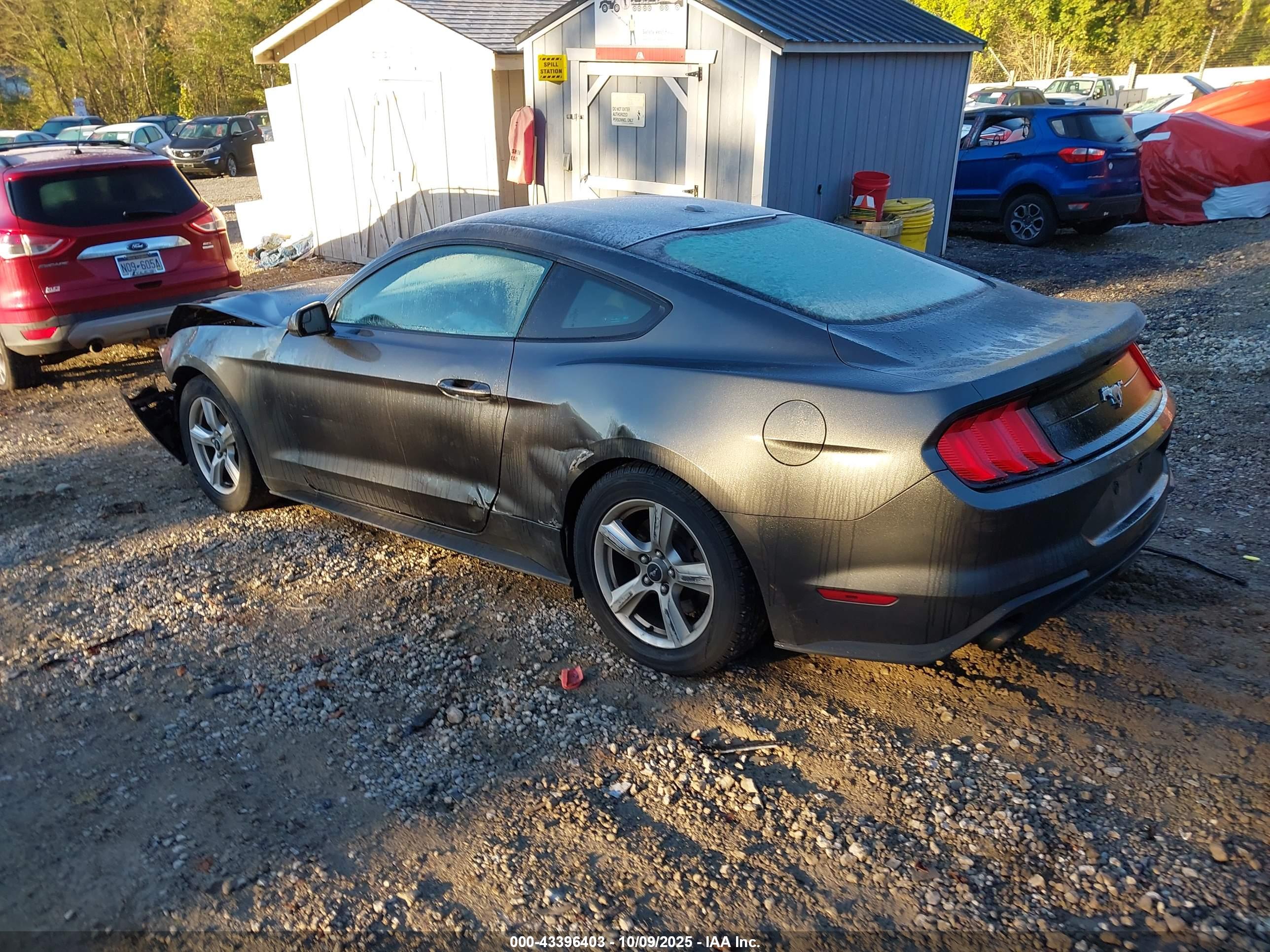 FORD MUSTANG image 3