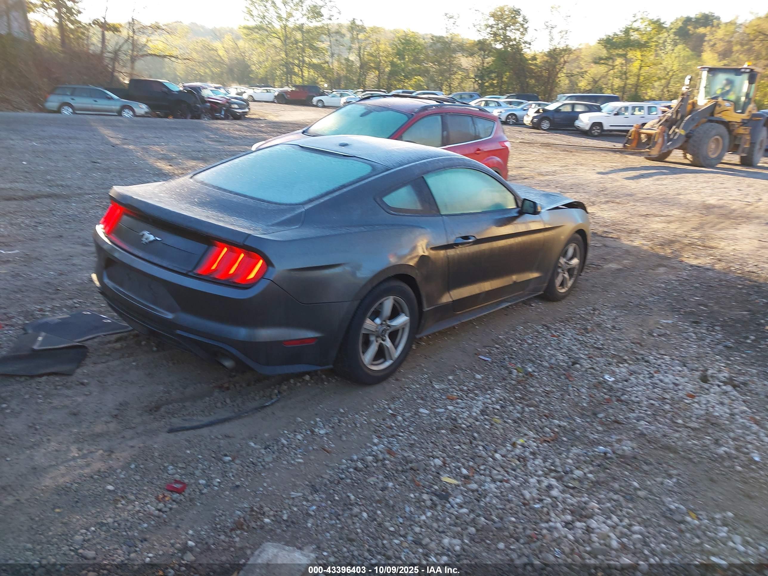 FORD MUSTANG image 4
