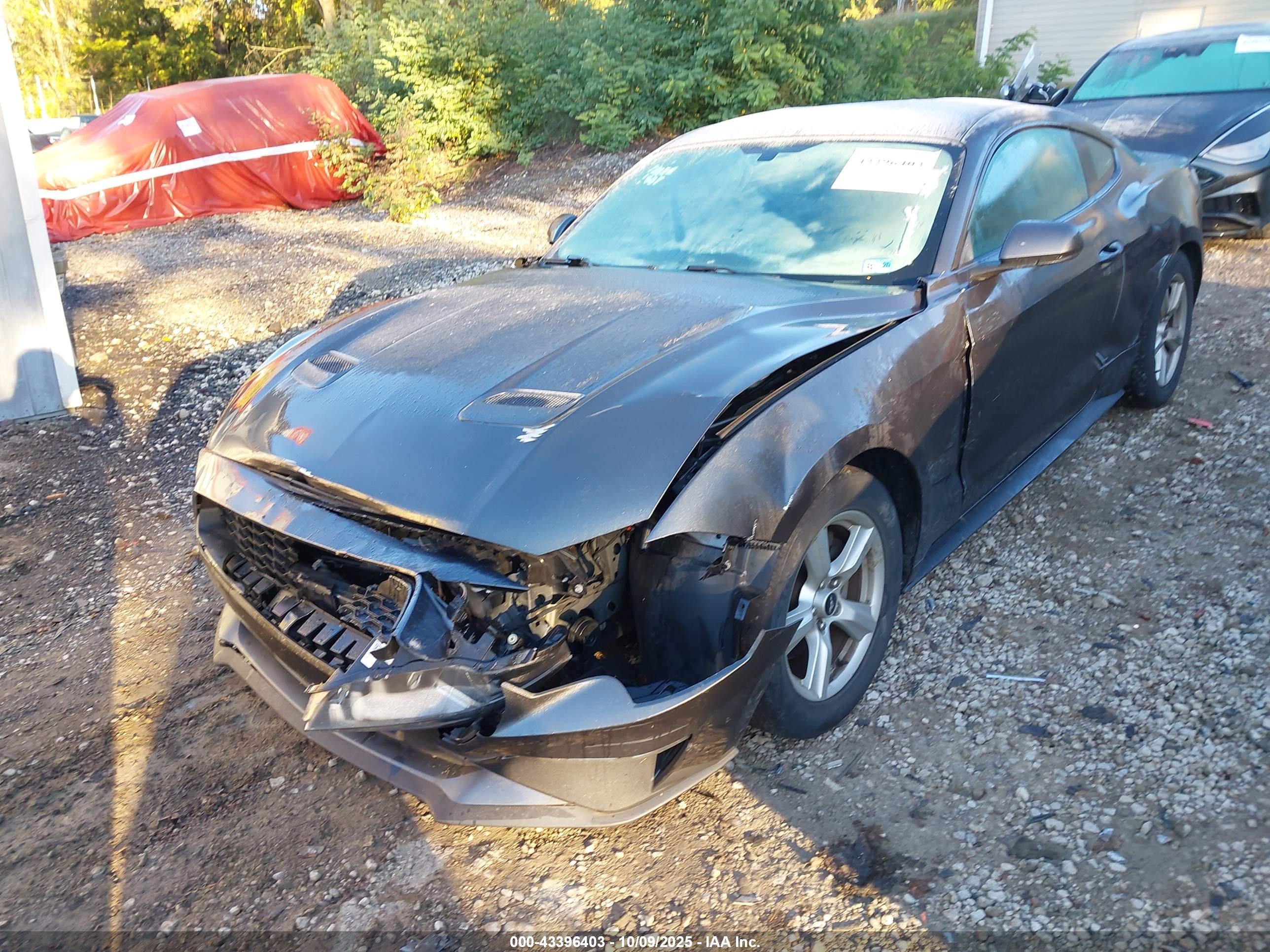FORD MUSTANG image 6