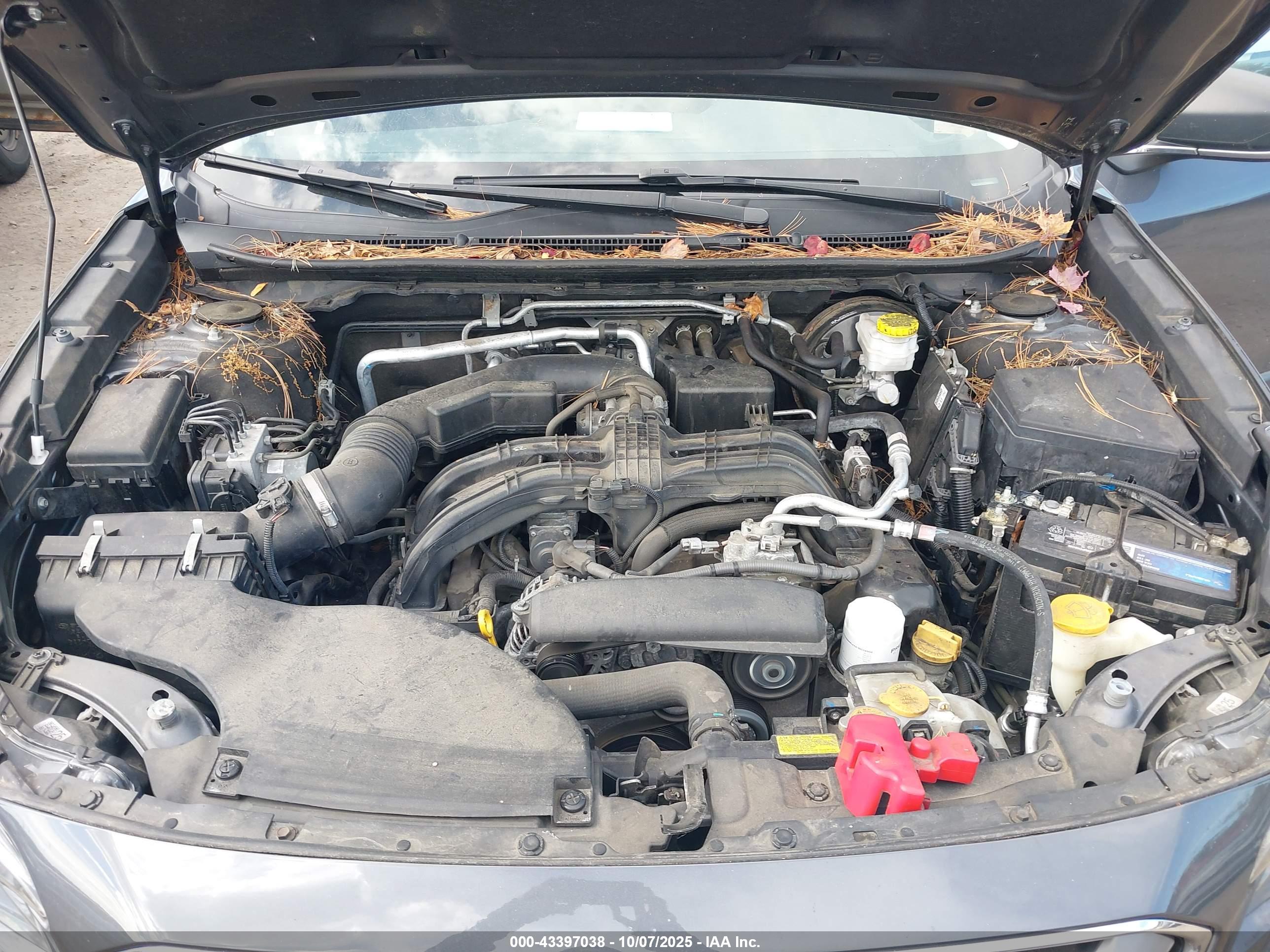 SUBARU OUTBACK image 10