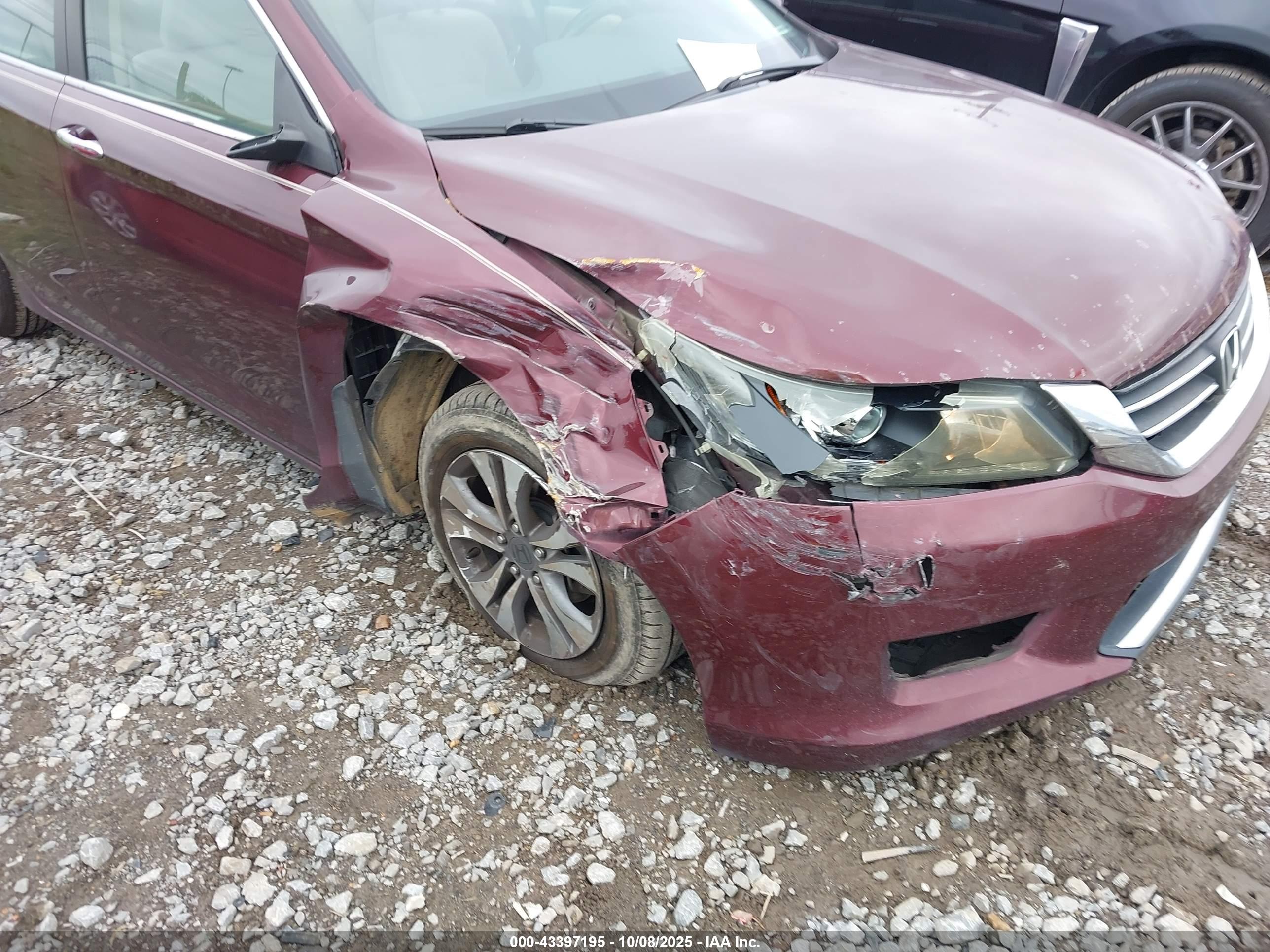 HONDA ACCORD image 6