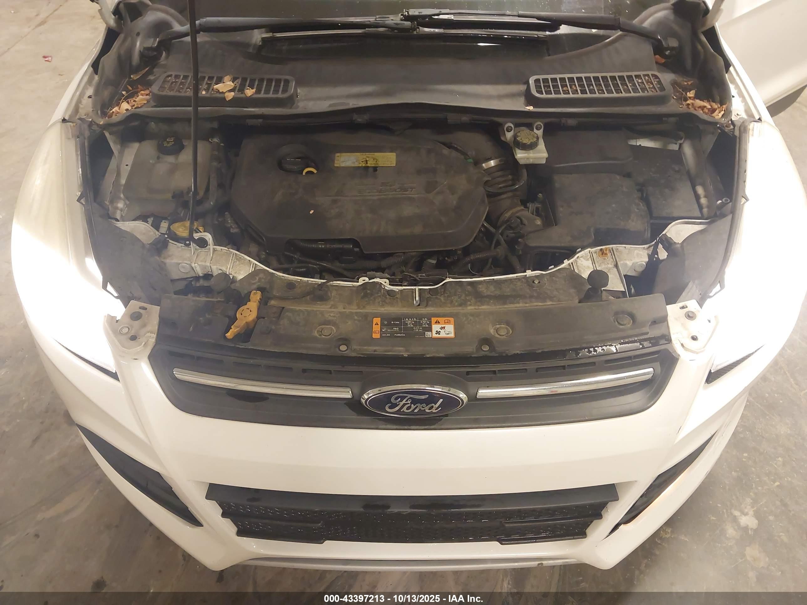 FORD ESCAPE image 10