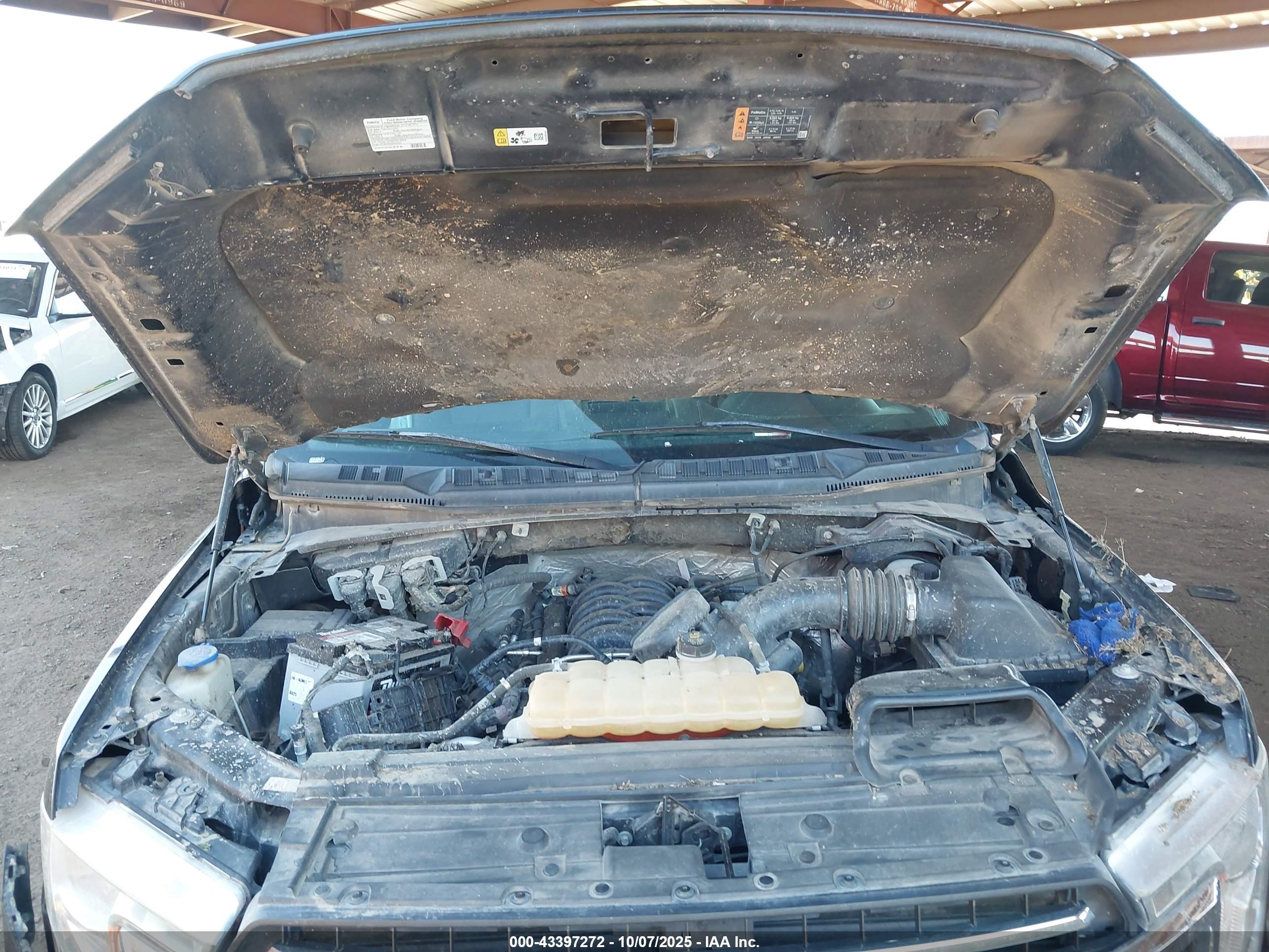 FORD F-150 image 10