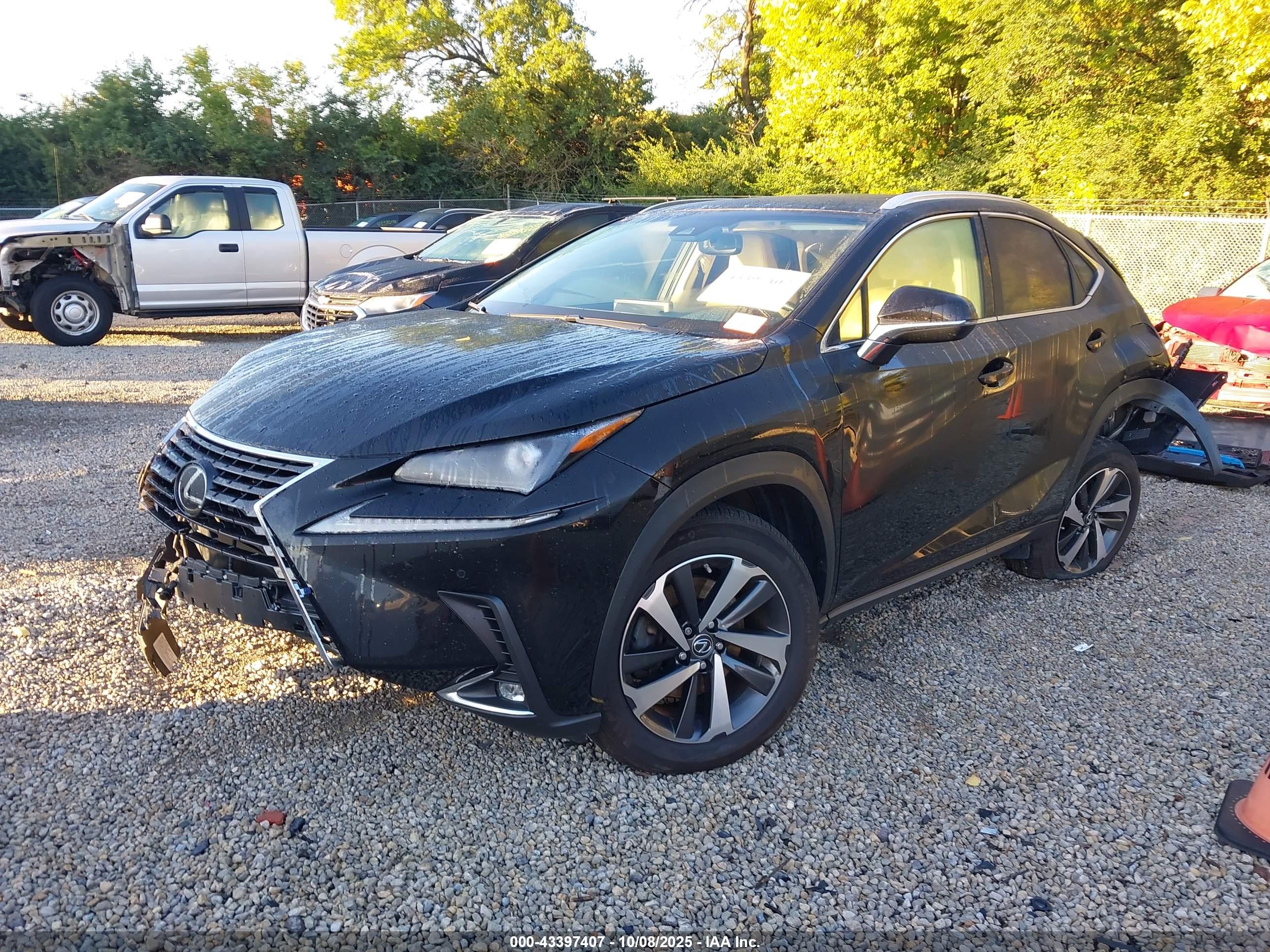 LEXUS NX image 2