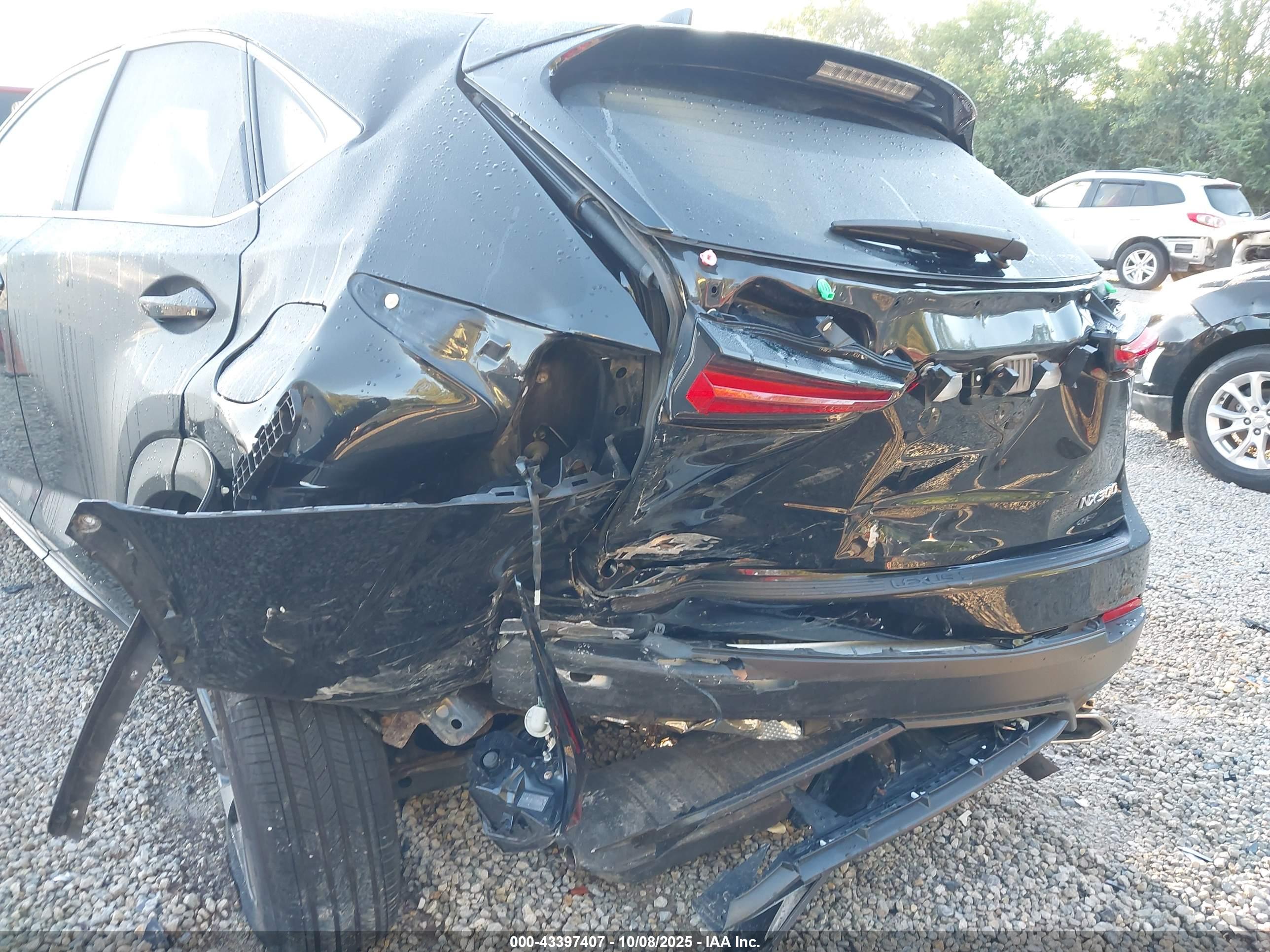 LEXUS NX image 6